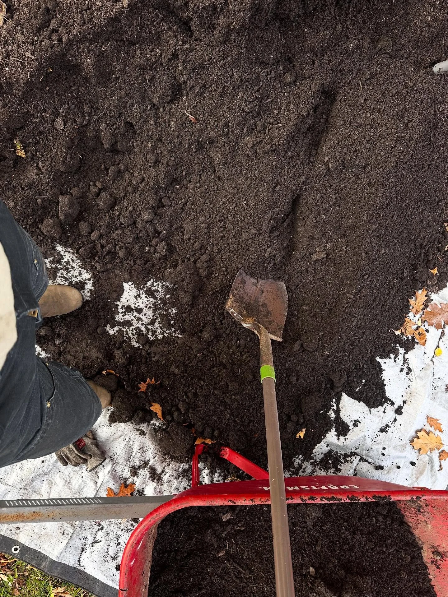 Composted about 75% of my gardensssss. Not sure who’s more exhausted??? me-for chasing Hayes all day or Hayes-running away from me all day.🤣🤣🤣🤣 😴😪