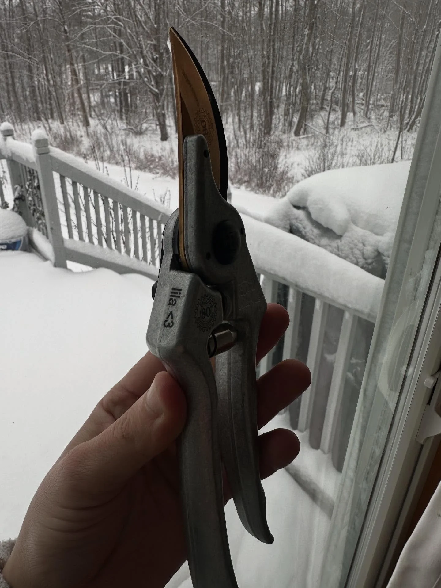 Merry Christmas!🎄 I ended up with these 80th Anniversary size 2&rsquo;s Felco&rsquo;s for Christmas. With my daughter&rsquo;s name engraved. 💜 Lila was very much special needs. Medically fragile. In 2021, I started planning a back yard garden, to g