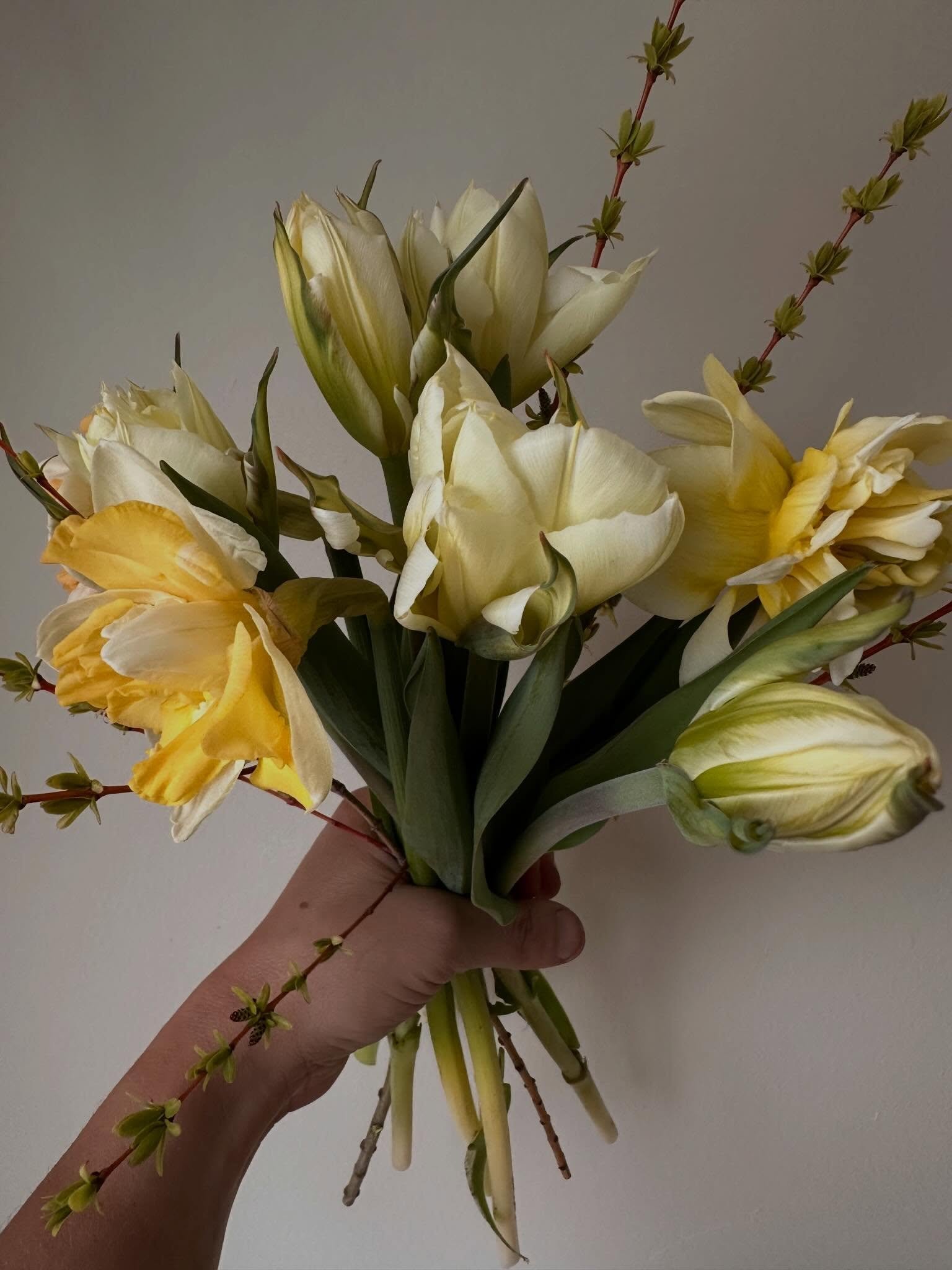 It&rsquo;s been another fullllll day of gardening/farming. First sweet flowers of the season.✨💐 Gave them to the in-laws-because they&rsquo;re gearing up for the biggest fight of their lives this week. Cancer can suck it. 😔