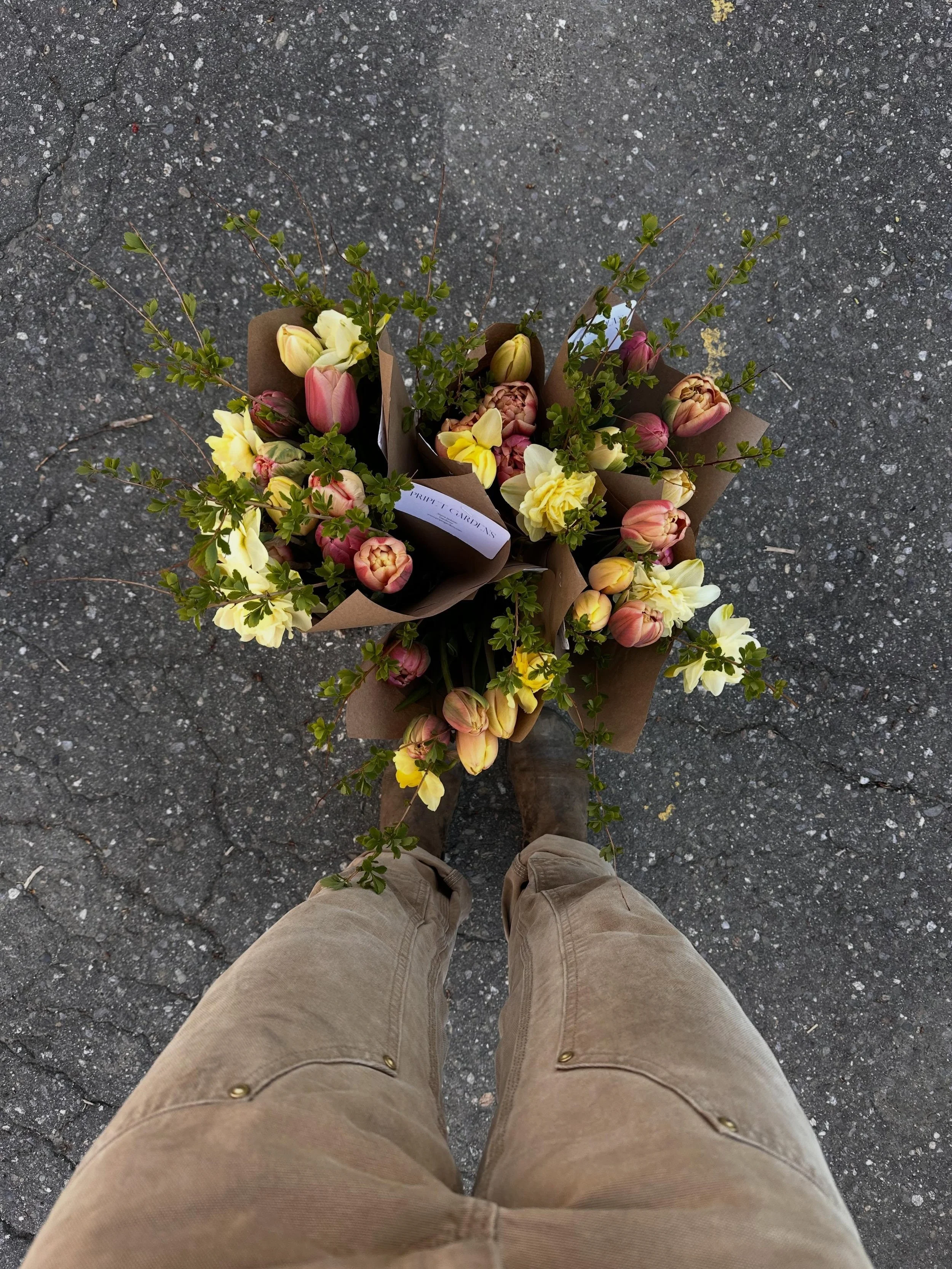 Bouquets will be at @freshoffthefarm87 and the stand is open with plant babies/tubers! You can view what&rsquo;s available on my website (link above in my bio) - and I&rsquo;ll be adding new varieties each weekend! ✨🌱💐