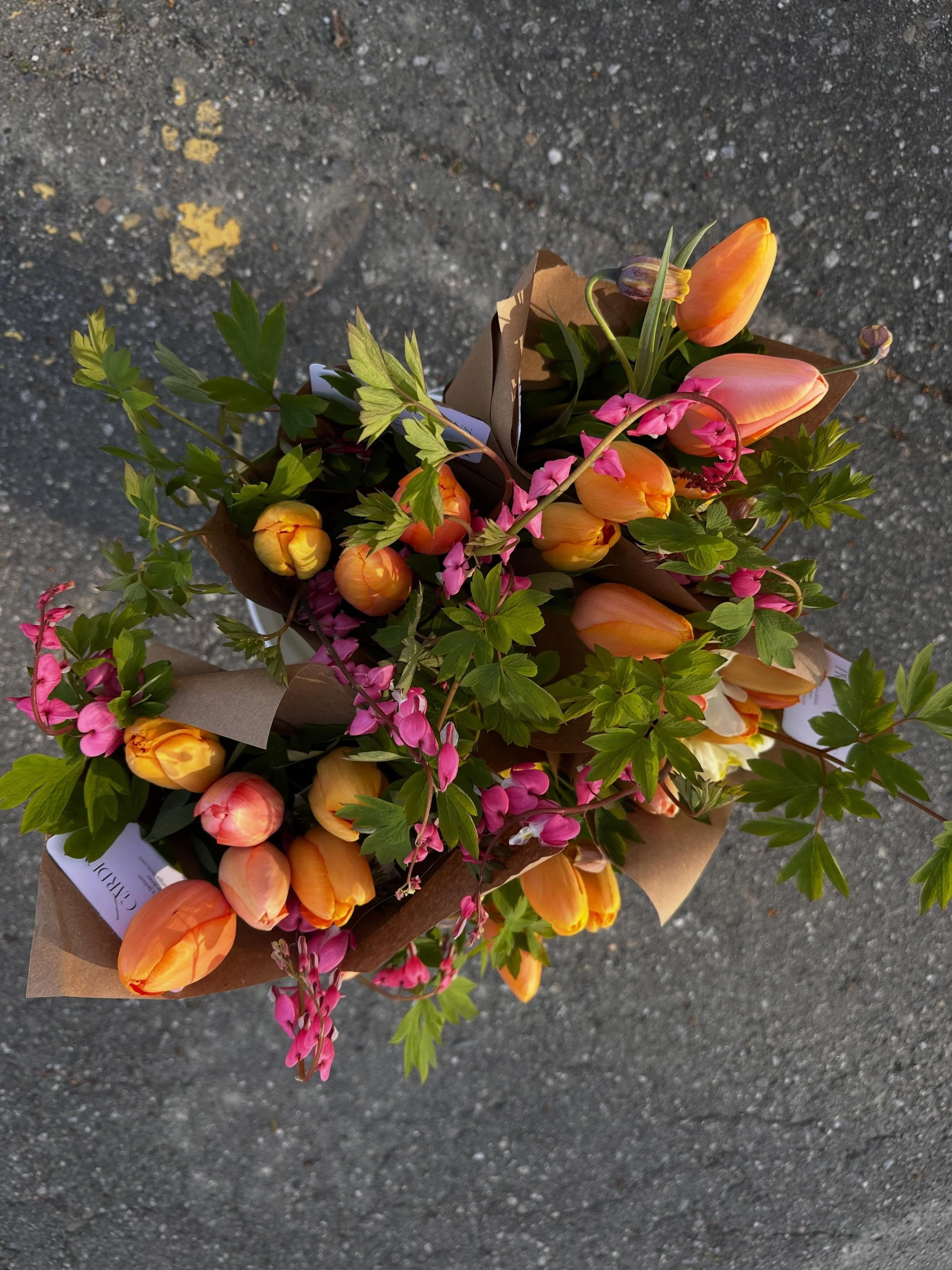 Bleeding hearts are fragile and toxic (like delphiniums, larkspur and foxgloves)-soooo I don&rsquo;t use them in market bouquets often. But these hawtttt orange/peach tulips screamed to be paired with them! As always, don&rsquo;t eat any flowers-unle