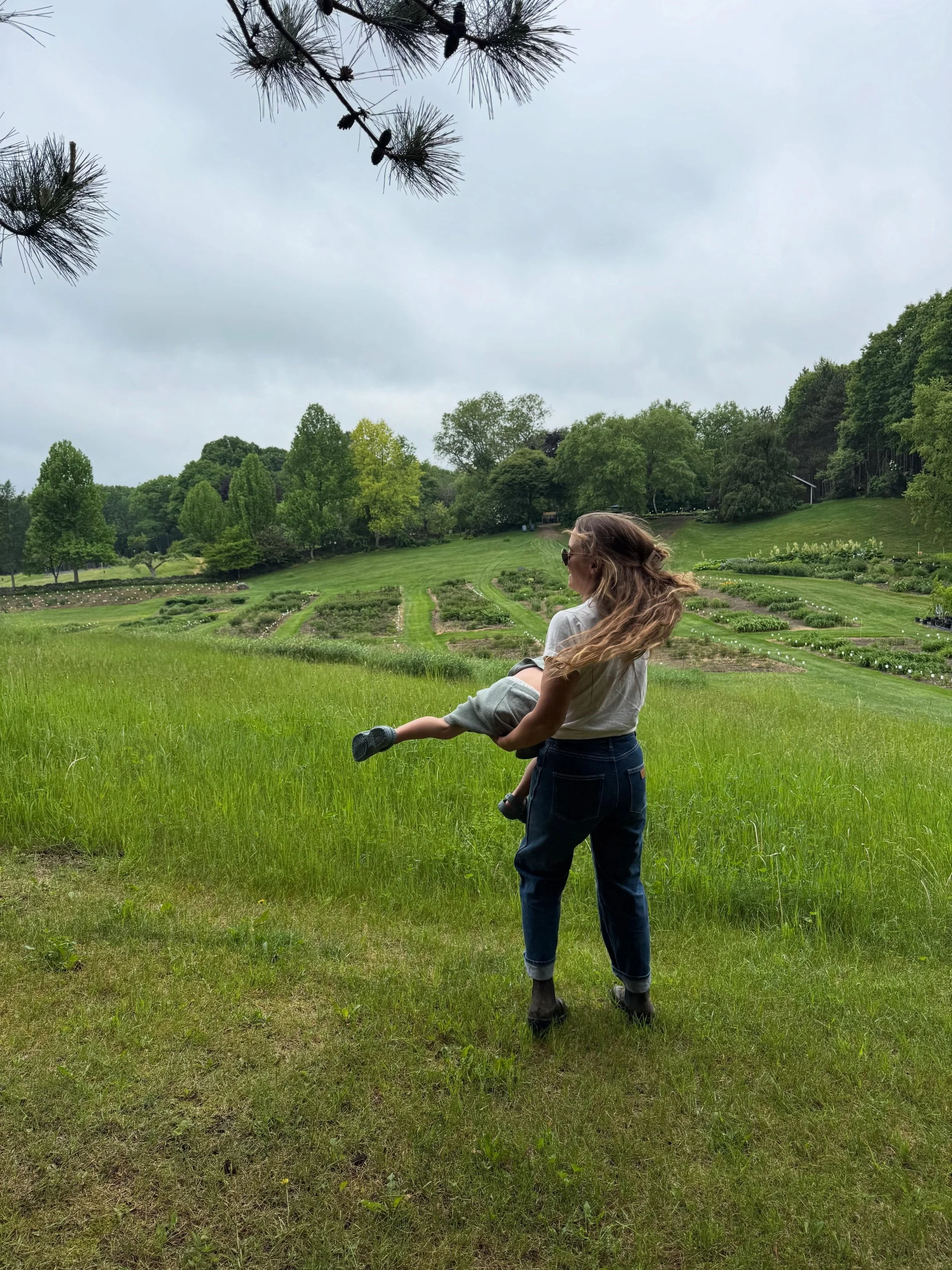 Second year of visiting @fieldstonegardens and again, she didn&rsquo;t disappoint. The energy. The quiet. The still. Hands down, this place is not only a plant nursery, but an experience!!! The tree farm still blows my mind. So much beauty. Barely an
