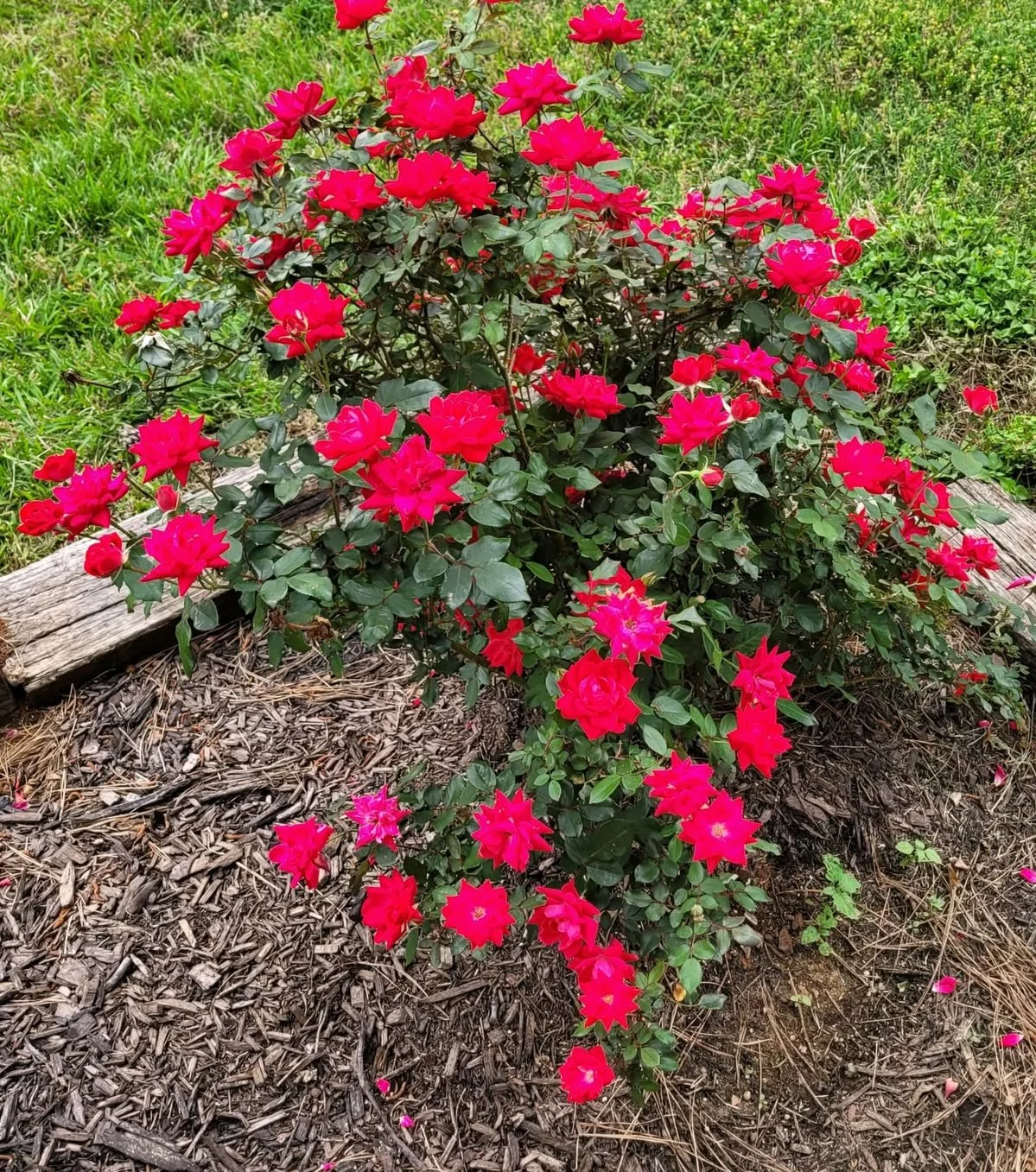 683251ea1c017b24555f5c5dcd75abd7.jpg