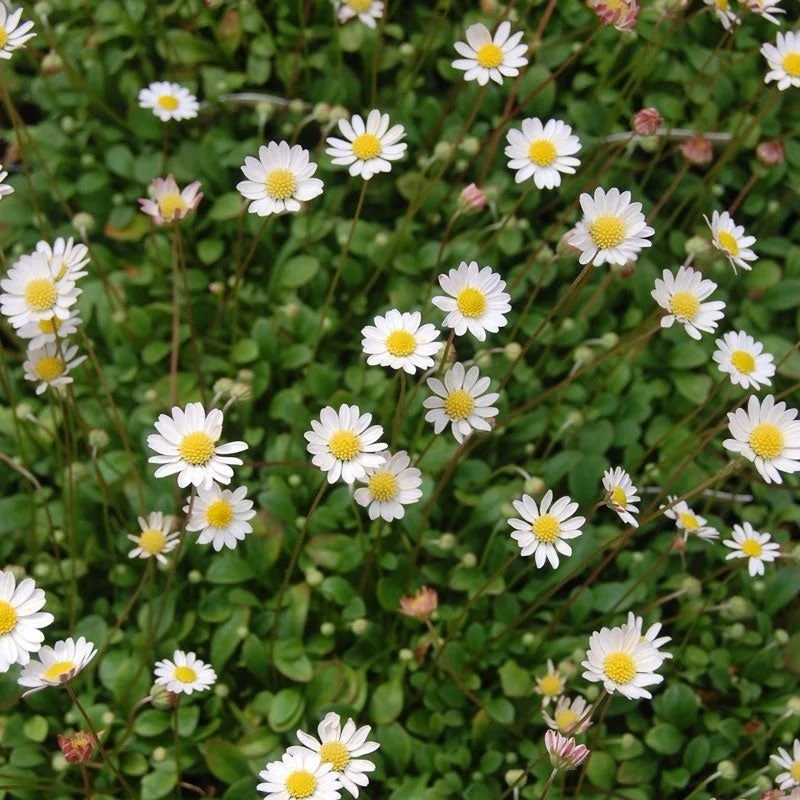 4c9c63714e675c253108bb8ffb7739e7.jpg