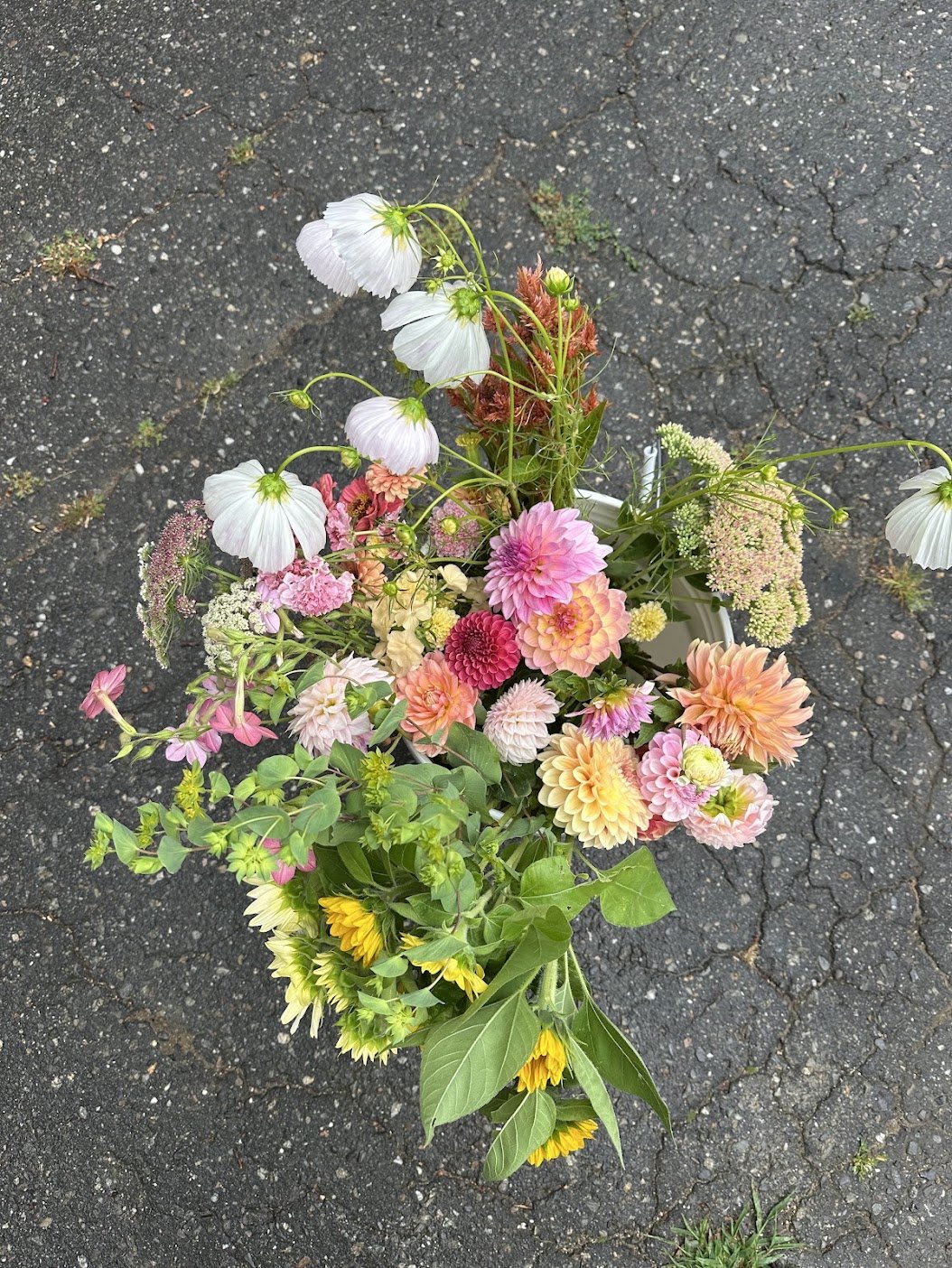 Mid Coast Maine Wedding Flowers
