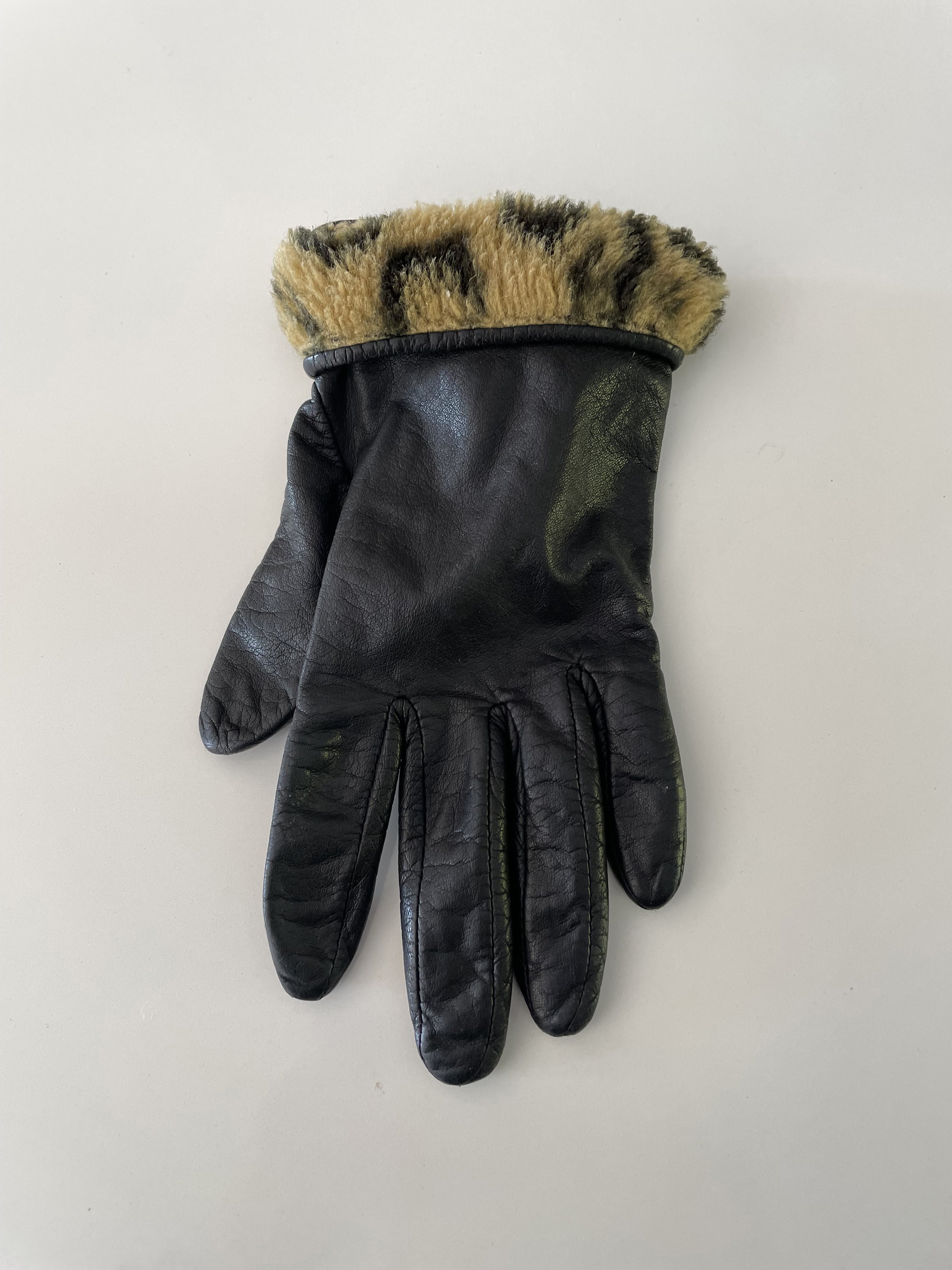 Glove copy.jpg