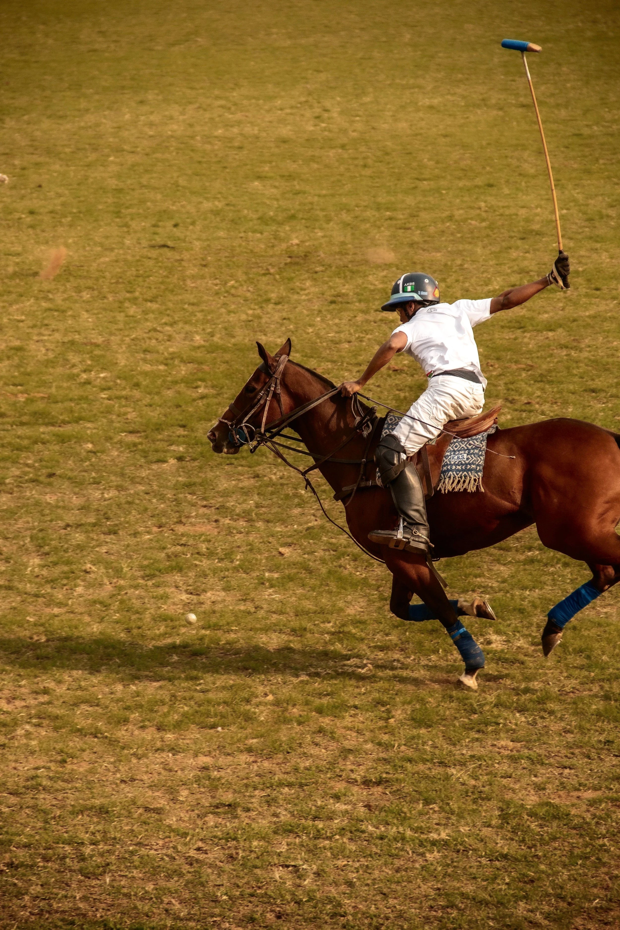 Beyond Marbella: Sunset, Champagne &amp; Polo in Sotogrande