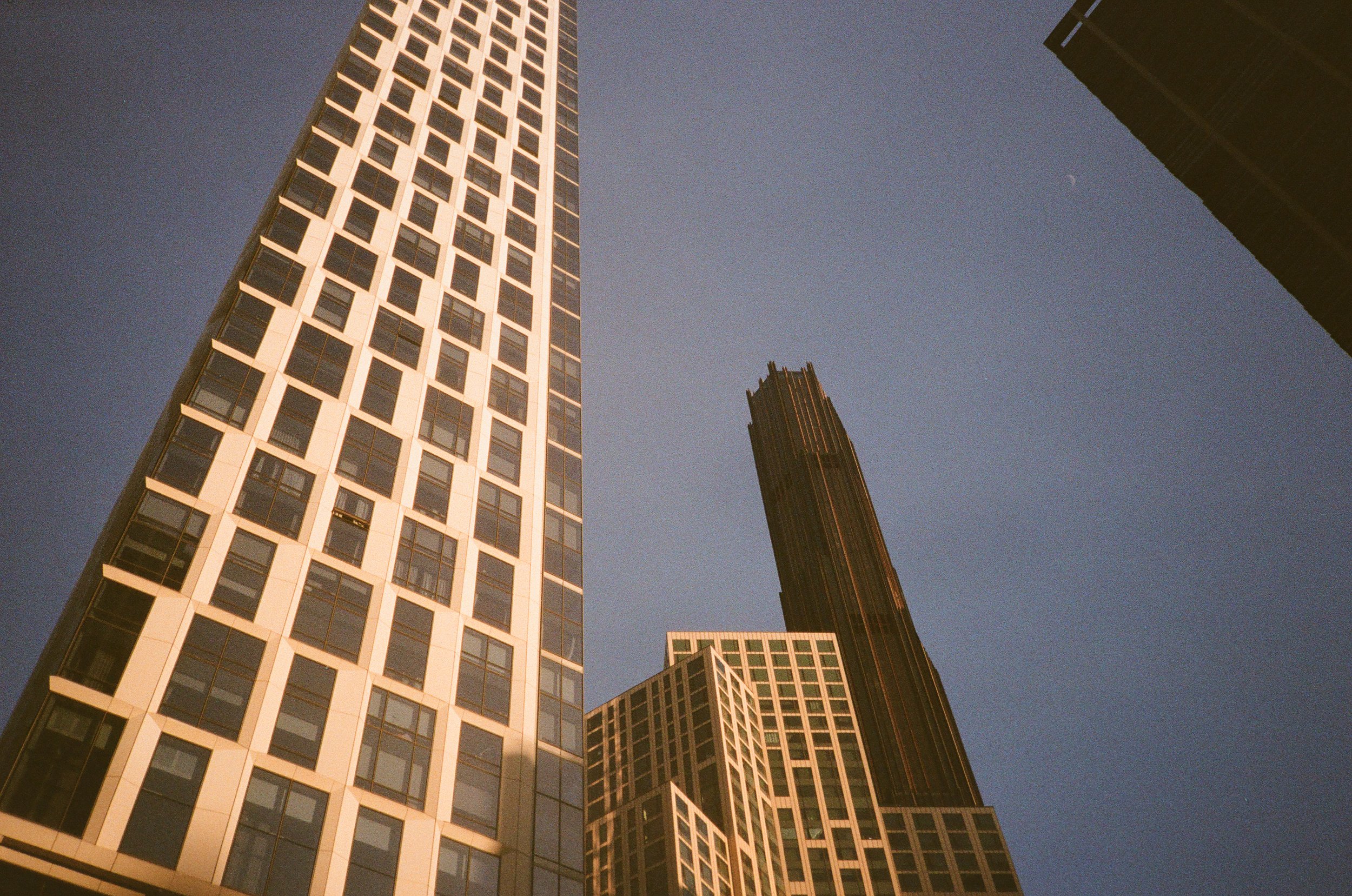 IMG_6737.jpg