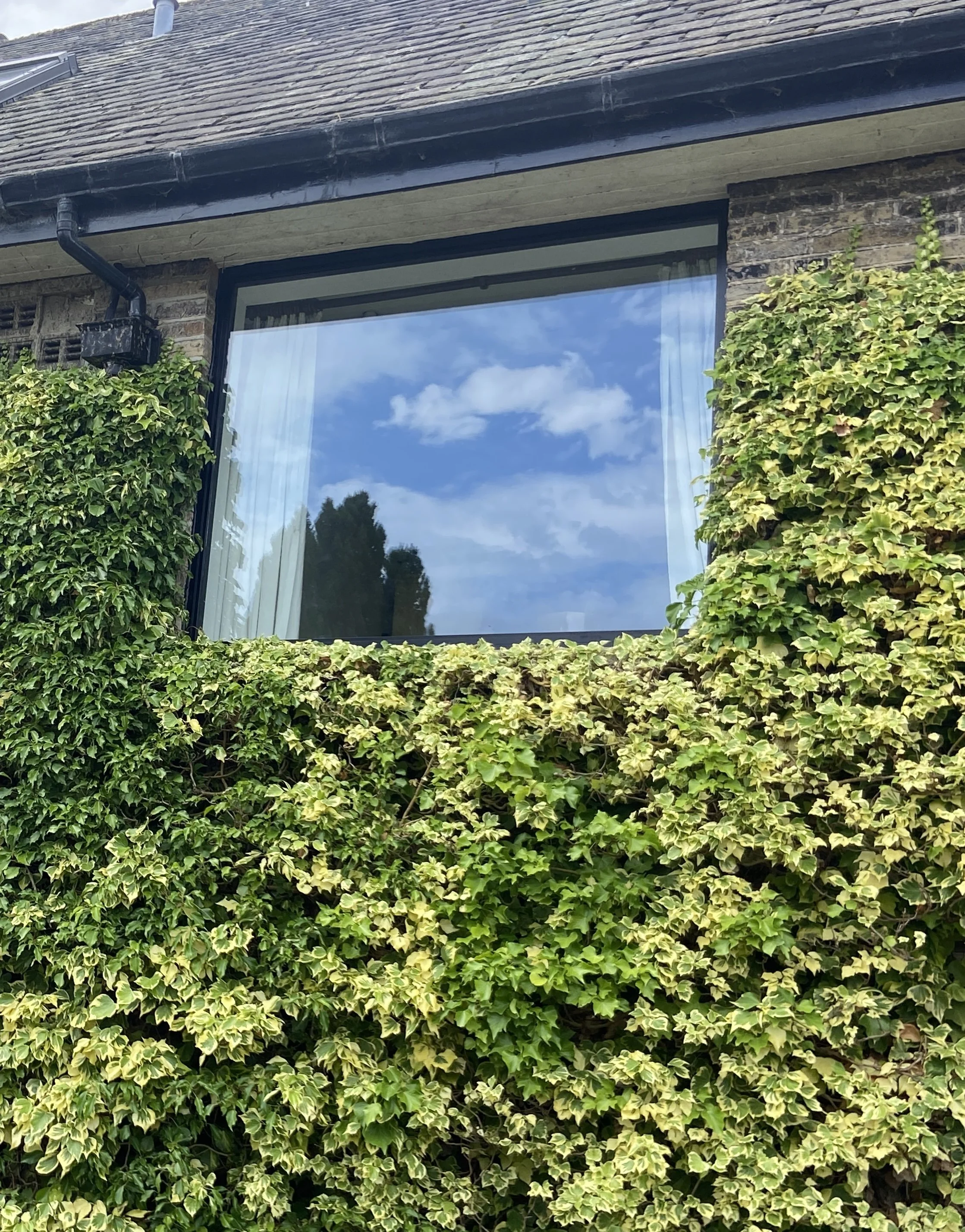 Ben Rhydding Black Aluminium Windows