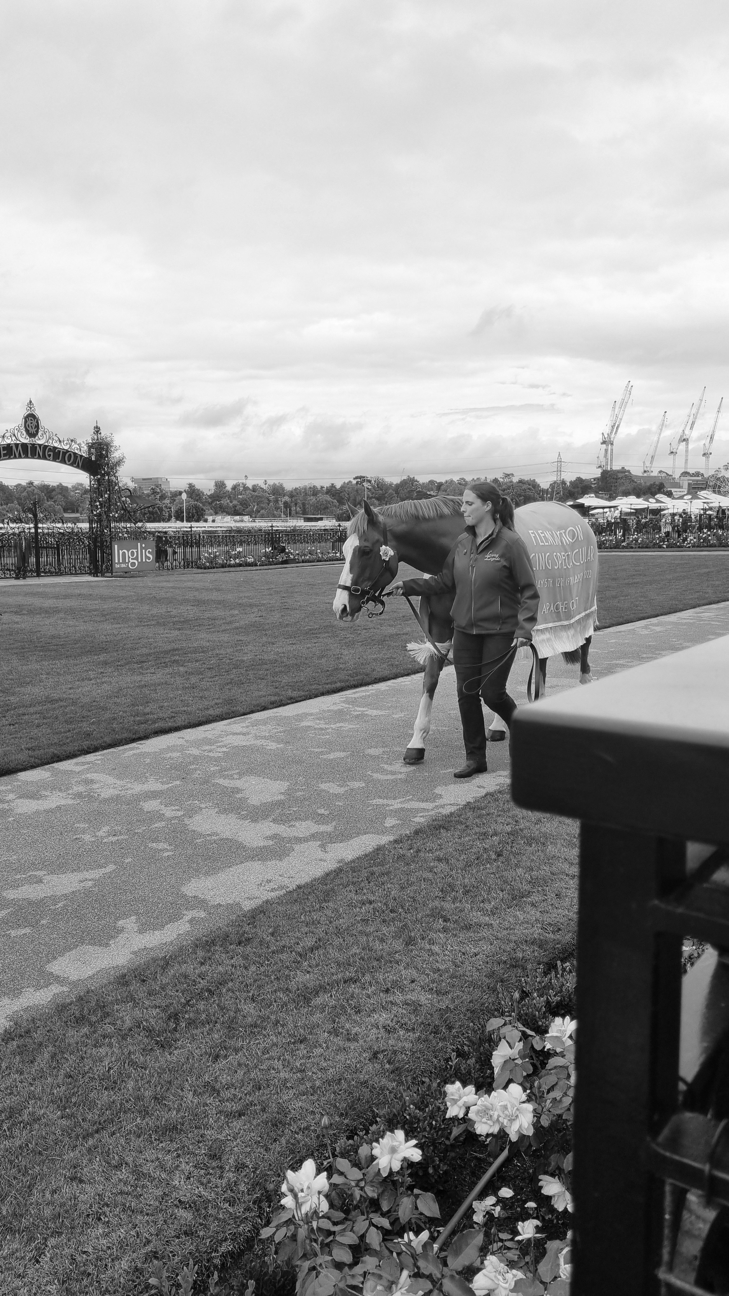 Australian Cup Day: 28 March, 10 Races, Flemington Racecourse