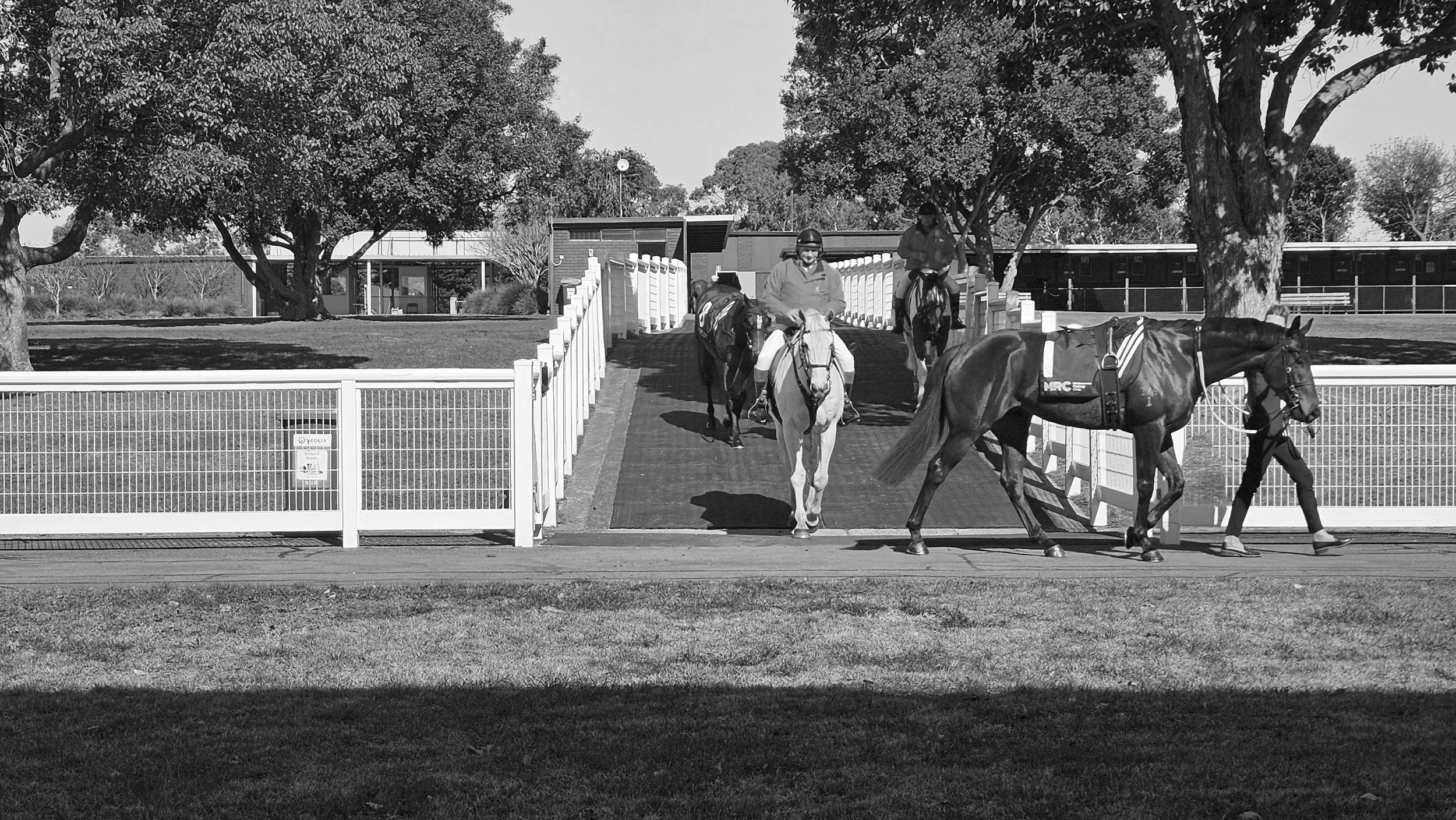 Sportsbet Sandown-Hillside Twilight: 28 January, 8 Races, Sandown Racecourse