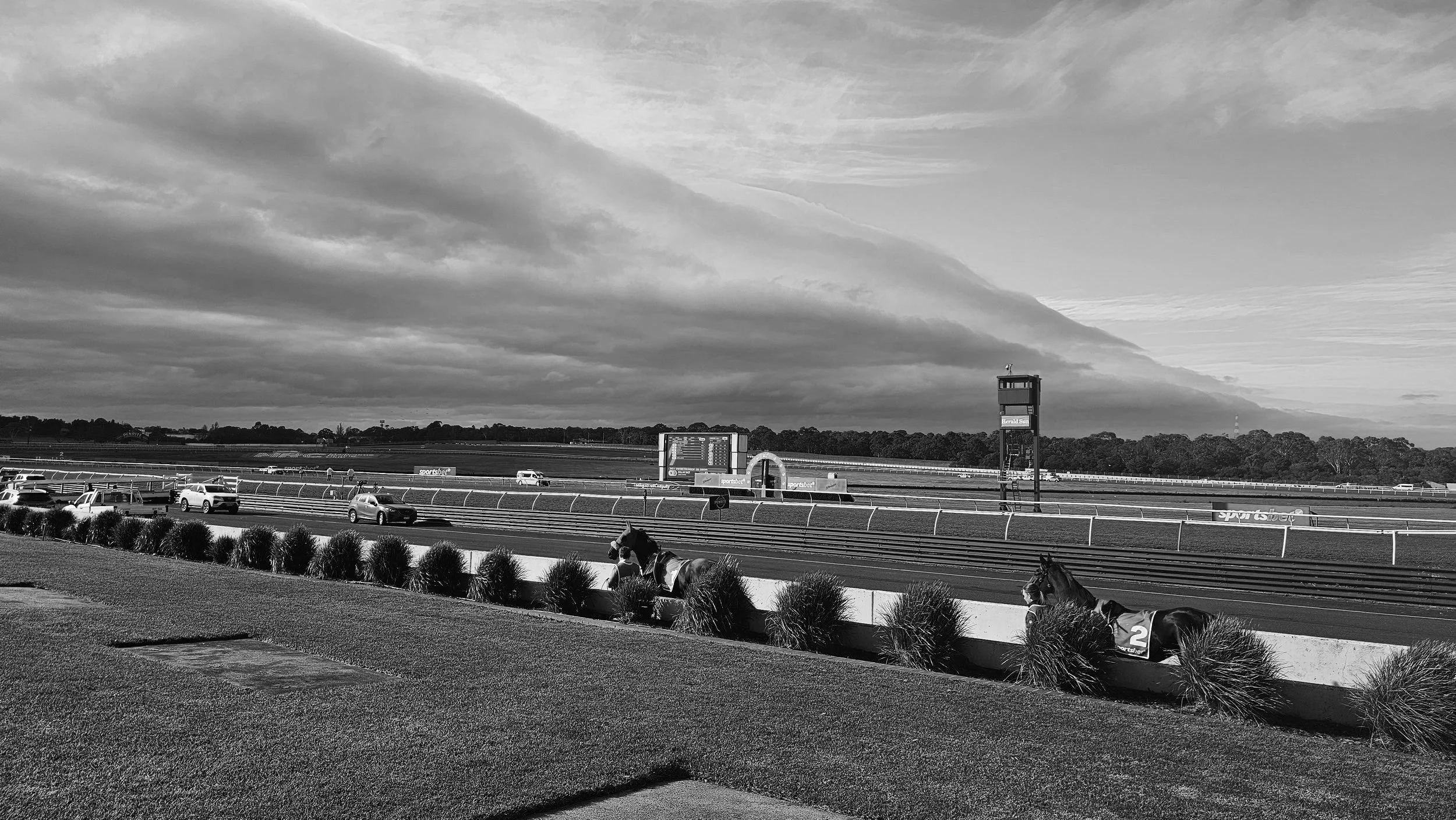 Sandown Hillside Winter Racing: 23 July, 8 Races, Sandown Park Racecourse
