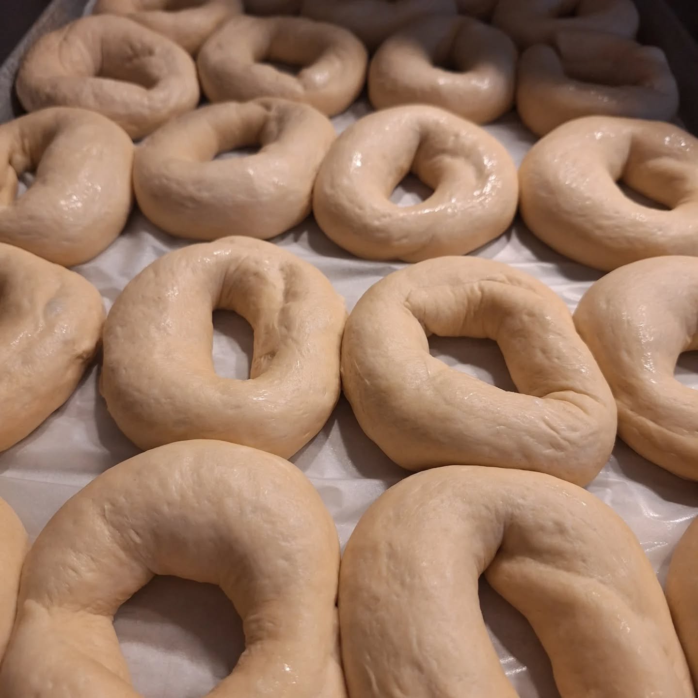 Let's make Wednesdays more delightful.

😜
 We propose increasing bagel consumption every Wednesday in August. 

ONLY $1 EACH. 
MADE IN HOUSE, EVERY DAY! 

What do you say? 
💛💛💛💛💛💛💛💛💛💛💛💛💛🤍 

To make this work, please: 
🫡

🌟
1. Remembe