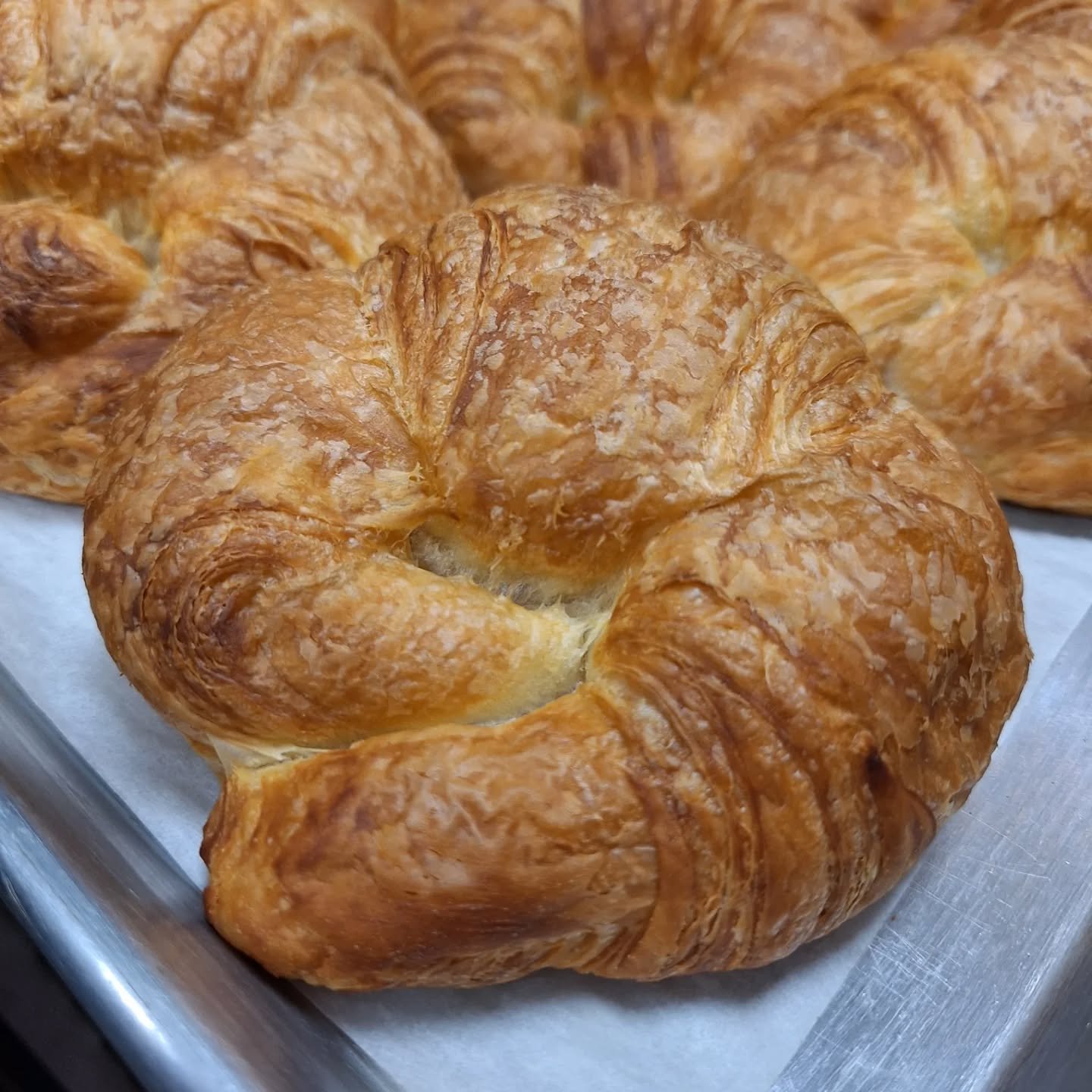 Good morning, FRIENDS! 

Happpy Holidays! ✨️💛

 After a year of hard work and preparing every baked goods from scratch, we're looking forward to the future. 

🎄🎉
We're holiday-ready with a variety of treats like Christmas cookies and s'mores kits.