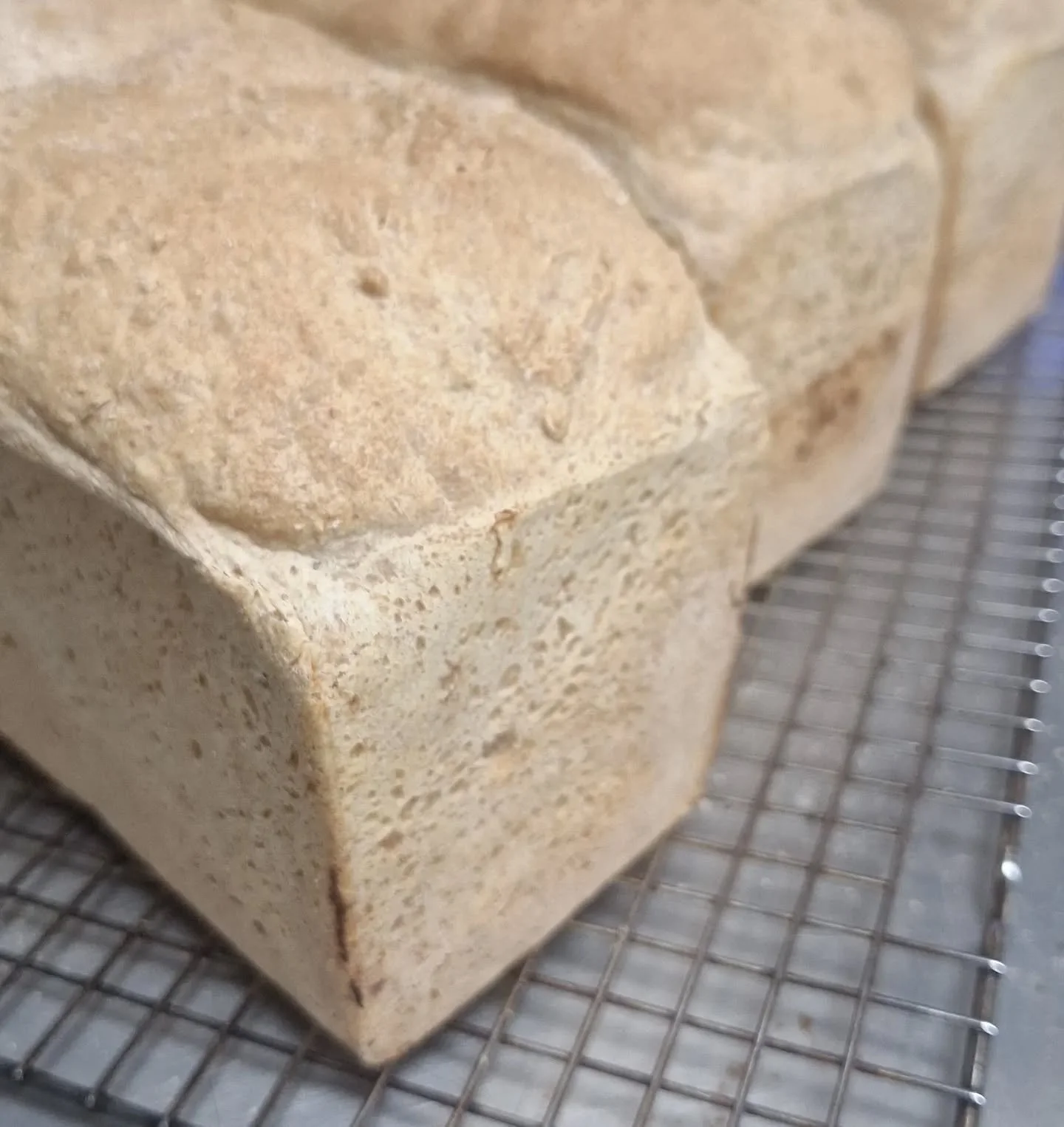 Yes, from scratch. Like everything else 💛🧡
******************************************

Yes, from scratch. Like everything else. We prepare all our bread from scratch. Every pastry is handmade with precision. We use only the finest ingredients, whic