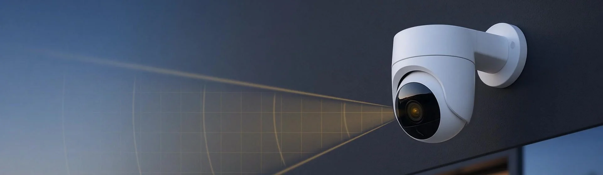 banner-pan-v5-first-frame.jpg