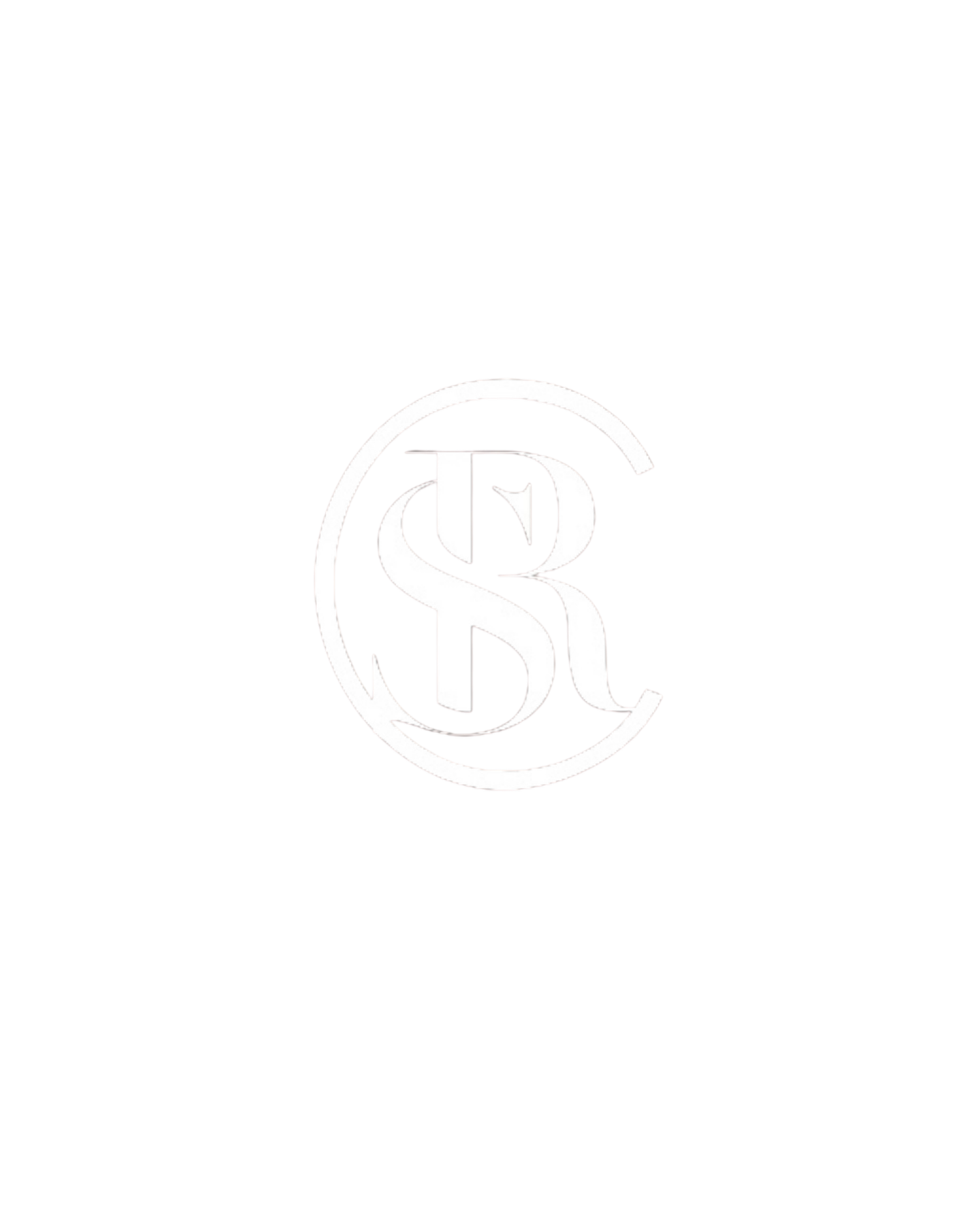  Tampa Bay Luxury Real Estate | SR Collective Team