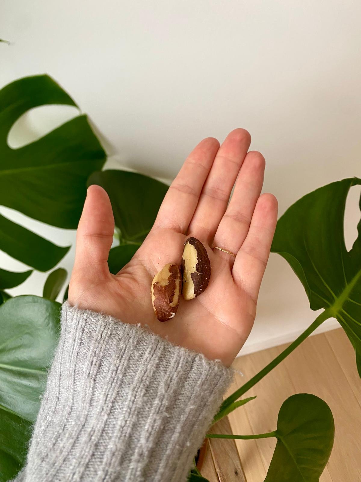 Les bienfaits des noix du Brésil