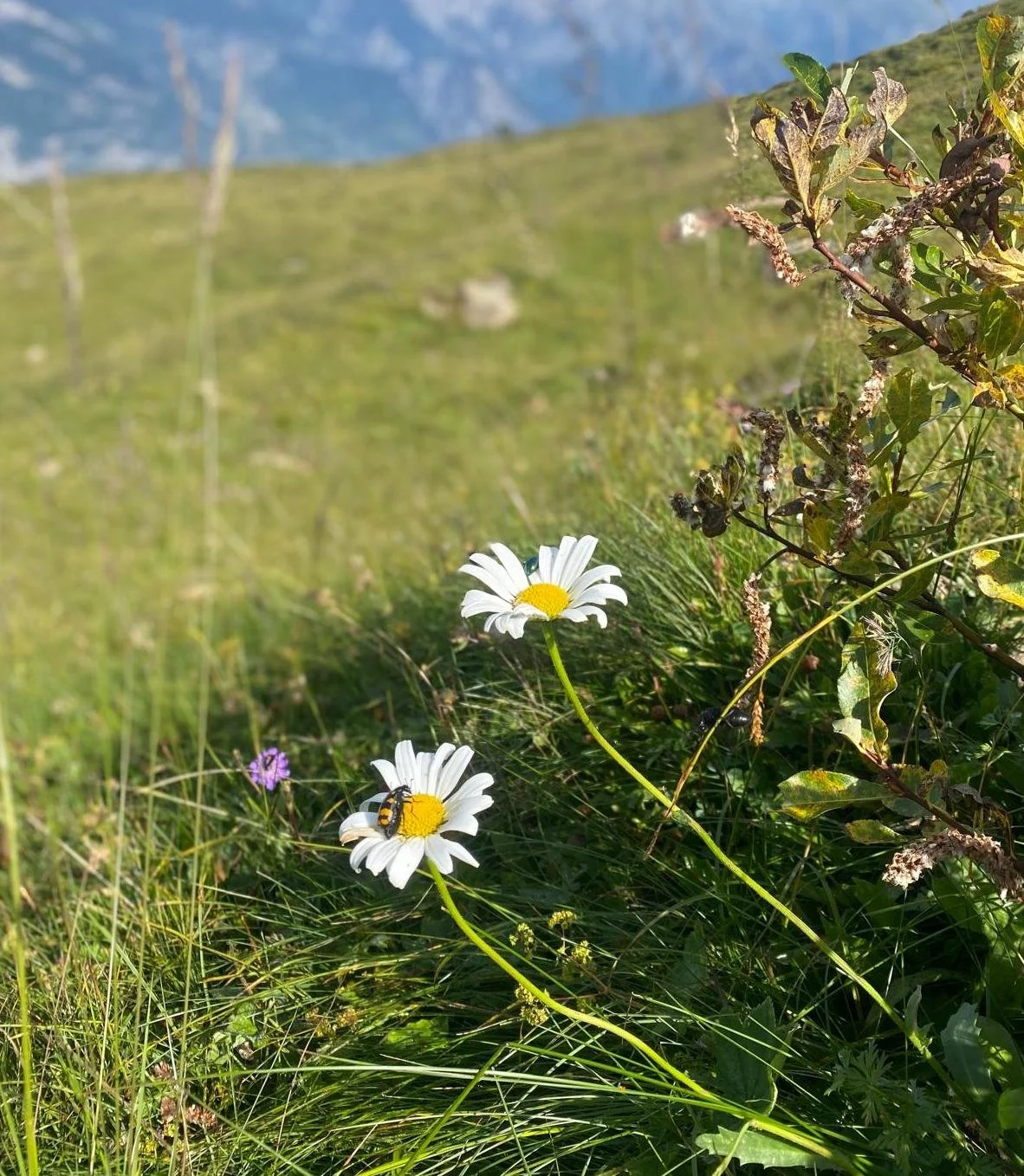 Mon top 5 des gestes à mettre en place pour diminuer son exposition aux perturbateurs endocriniens