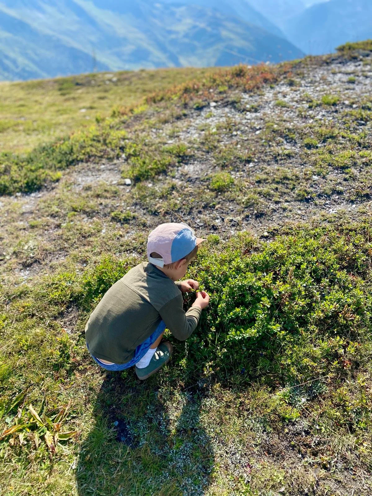 Comment éviter les perturbateurs endocriniens - Soulfood Nutrition