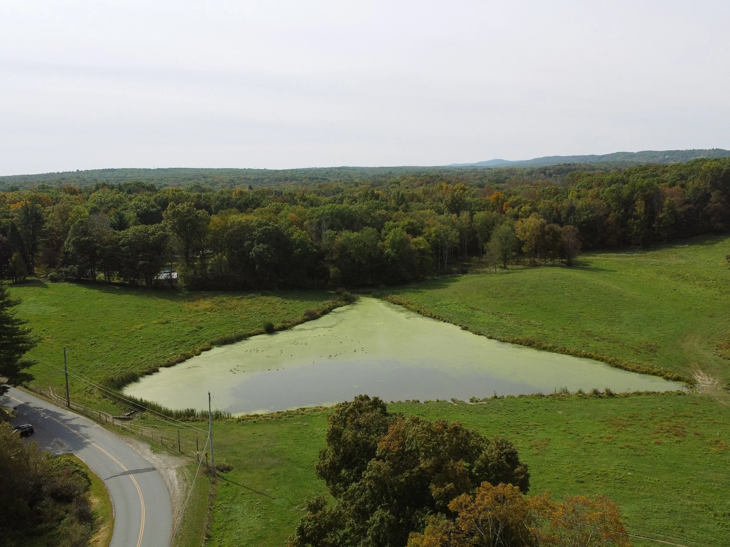 DJI_0132.jpg
