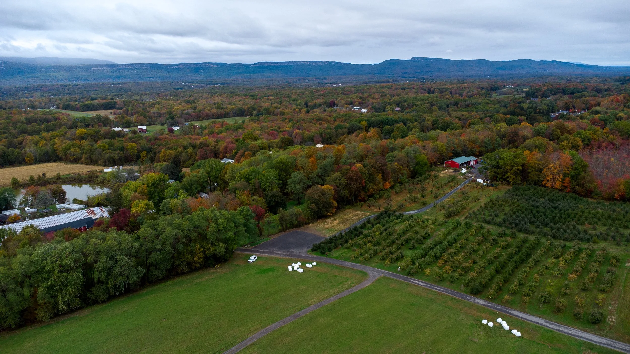 DJI_0164.jpg