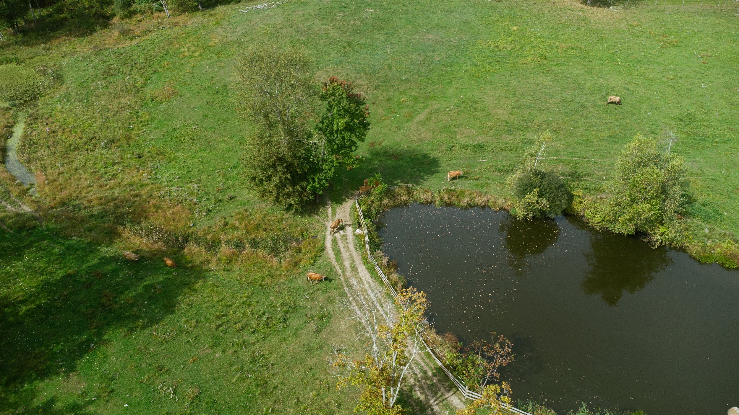DJI_0142.jpg