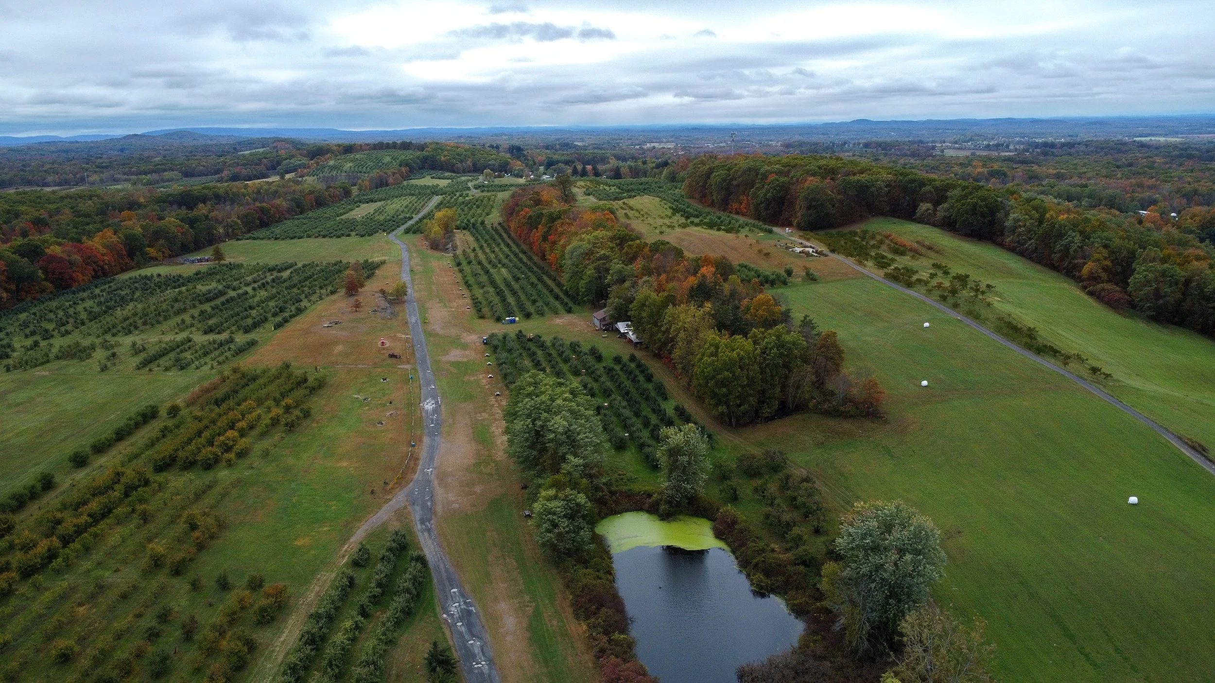 DJI_0160.jpg