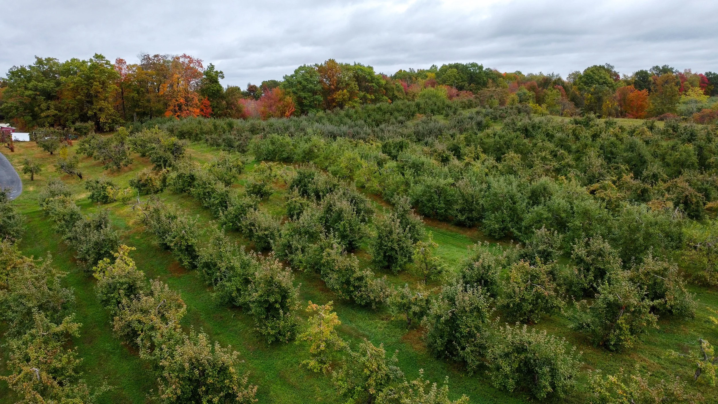 DJI_0145.jpg
