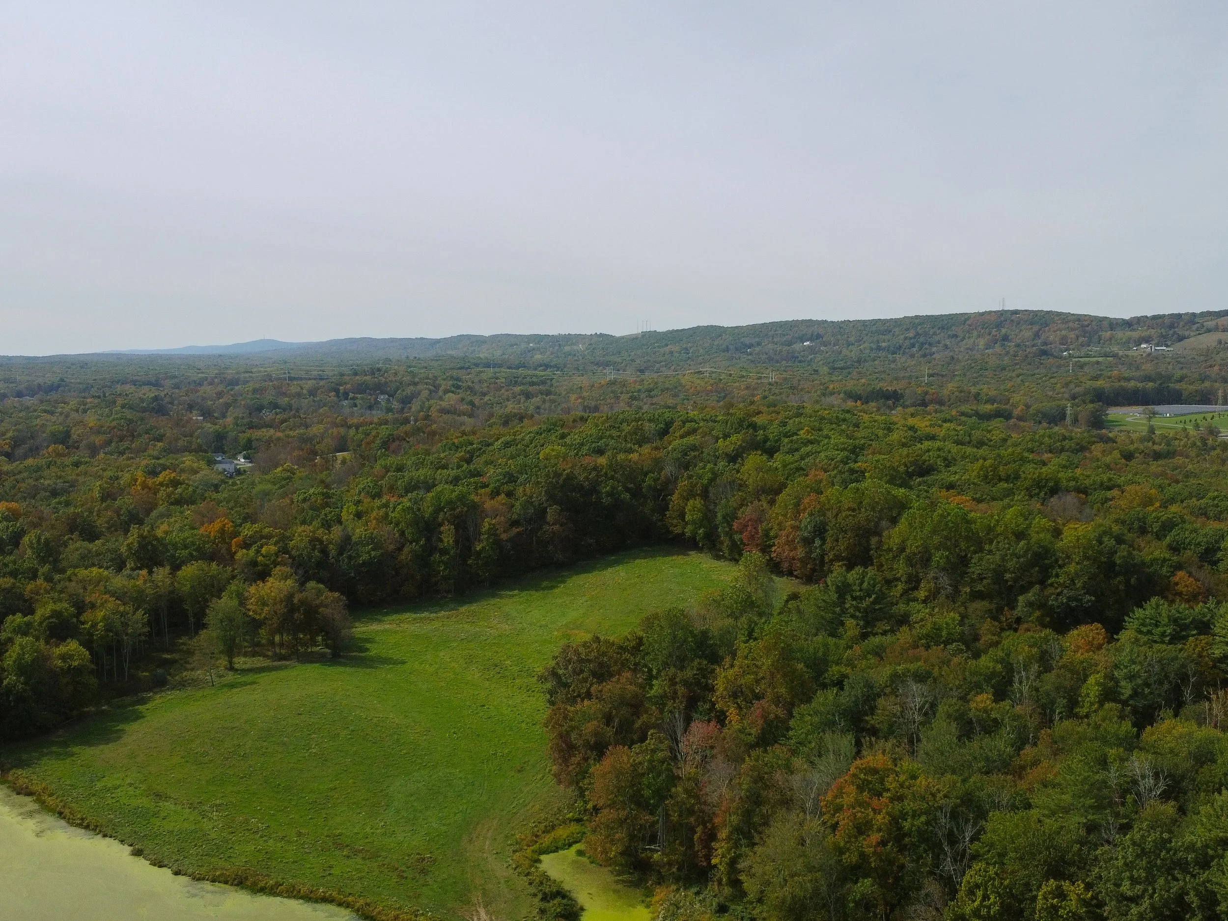 DJI_0134.jpg