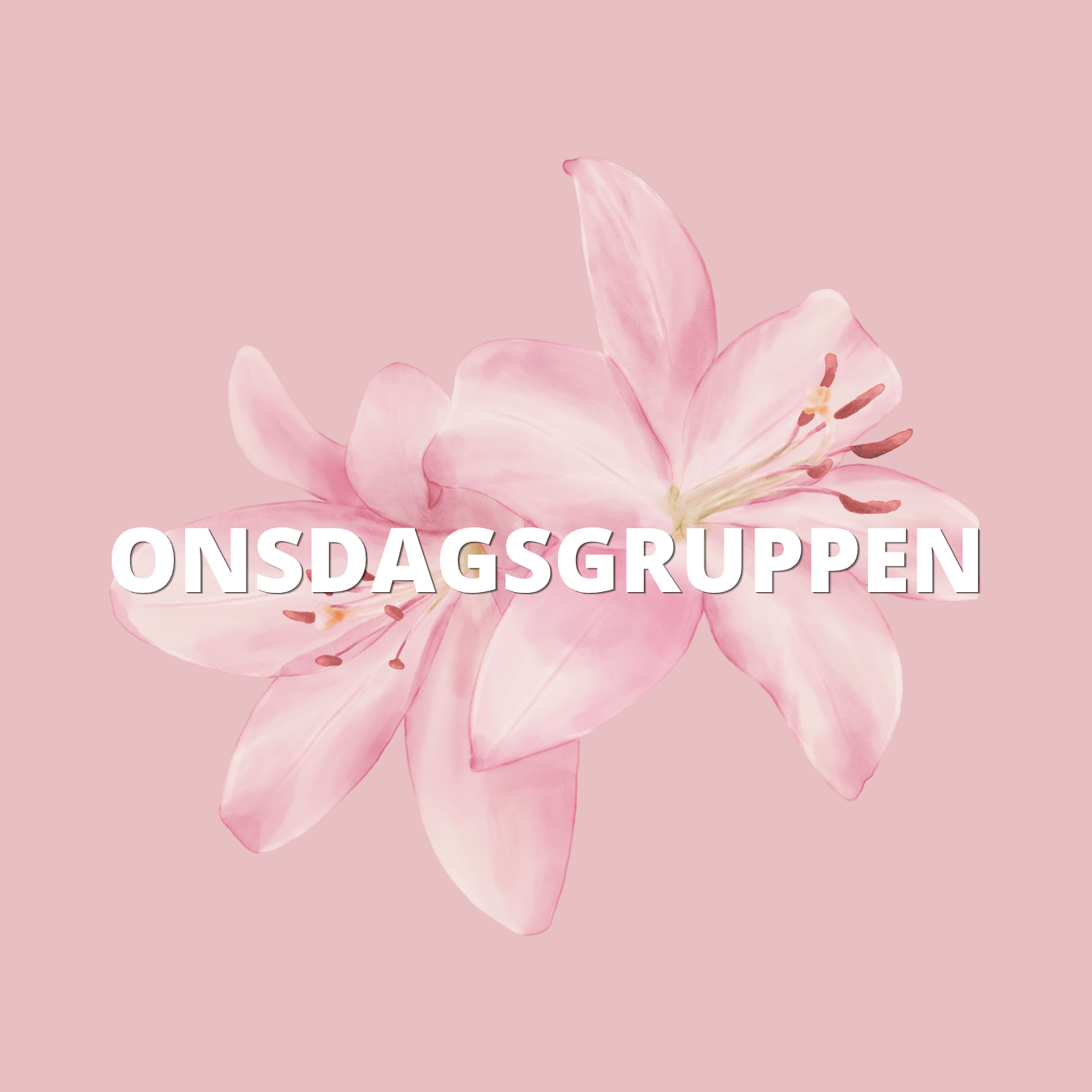 TISDAGSGRUPPEN (1).png