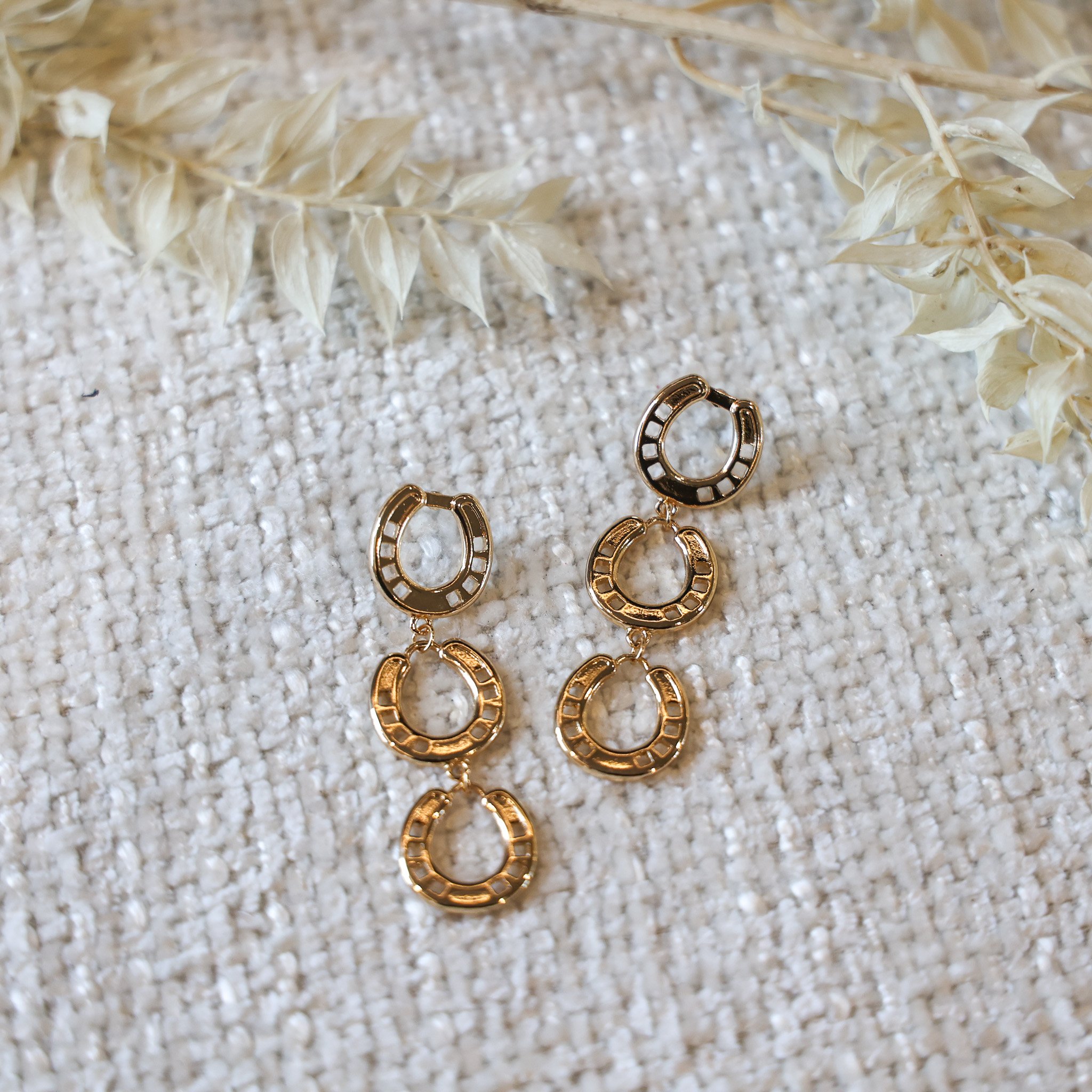 Linked Horseshoes