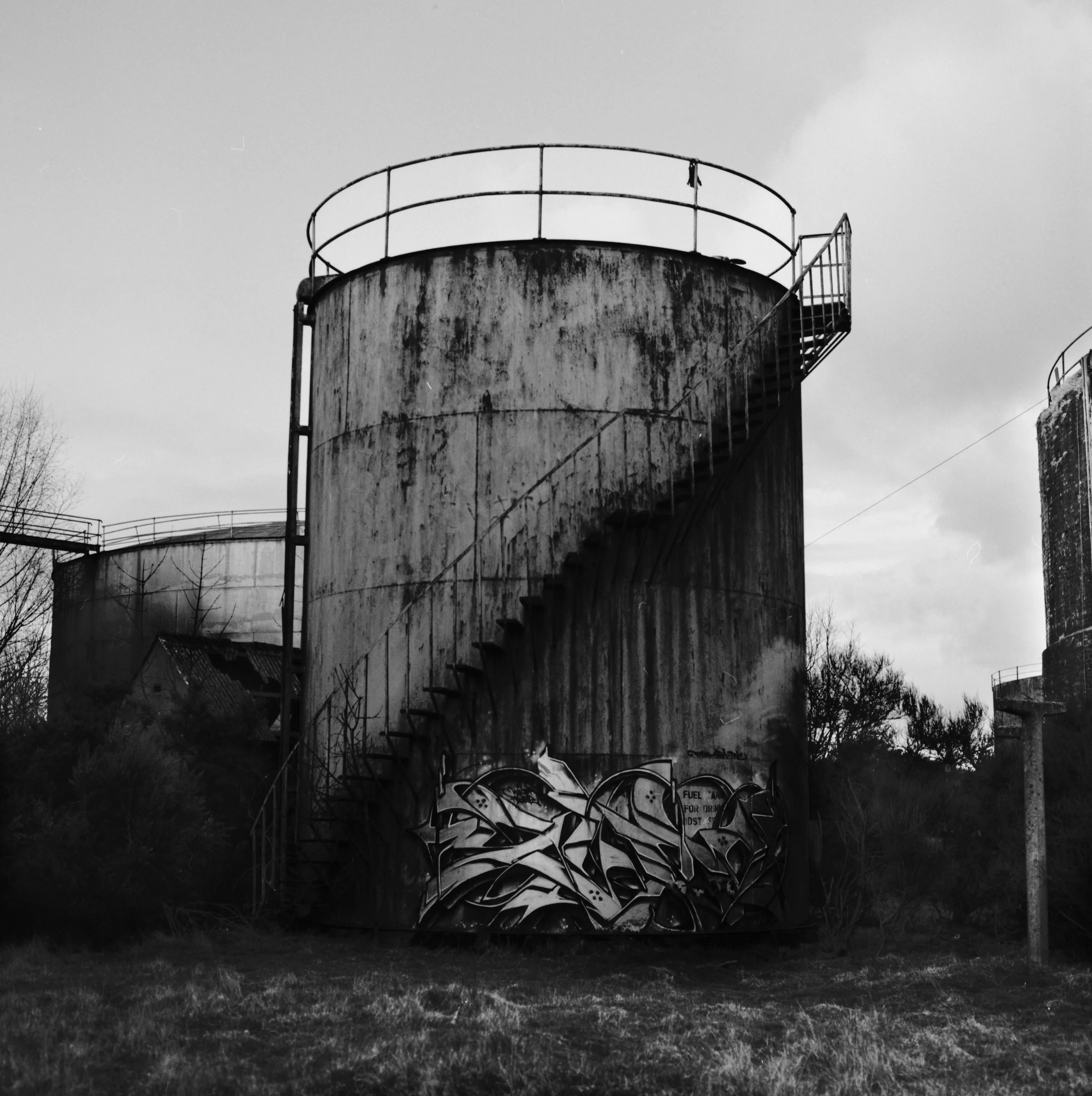 Neg018010 2.JPG