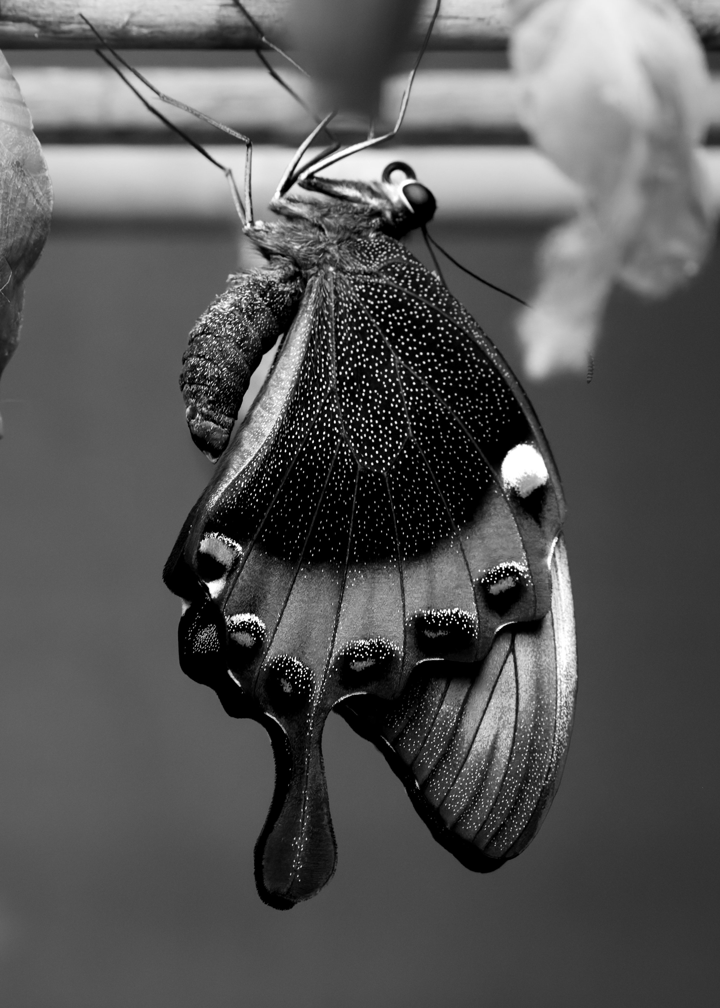 _P5A0347-DxO_DeepPRIME 3.jpg