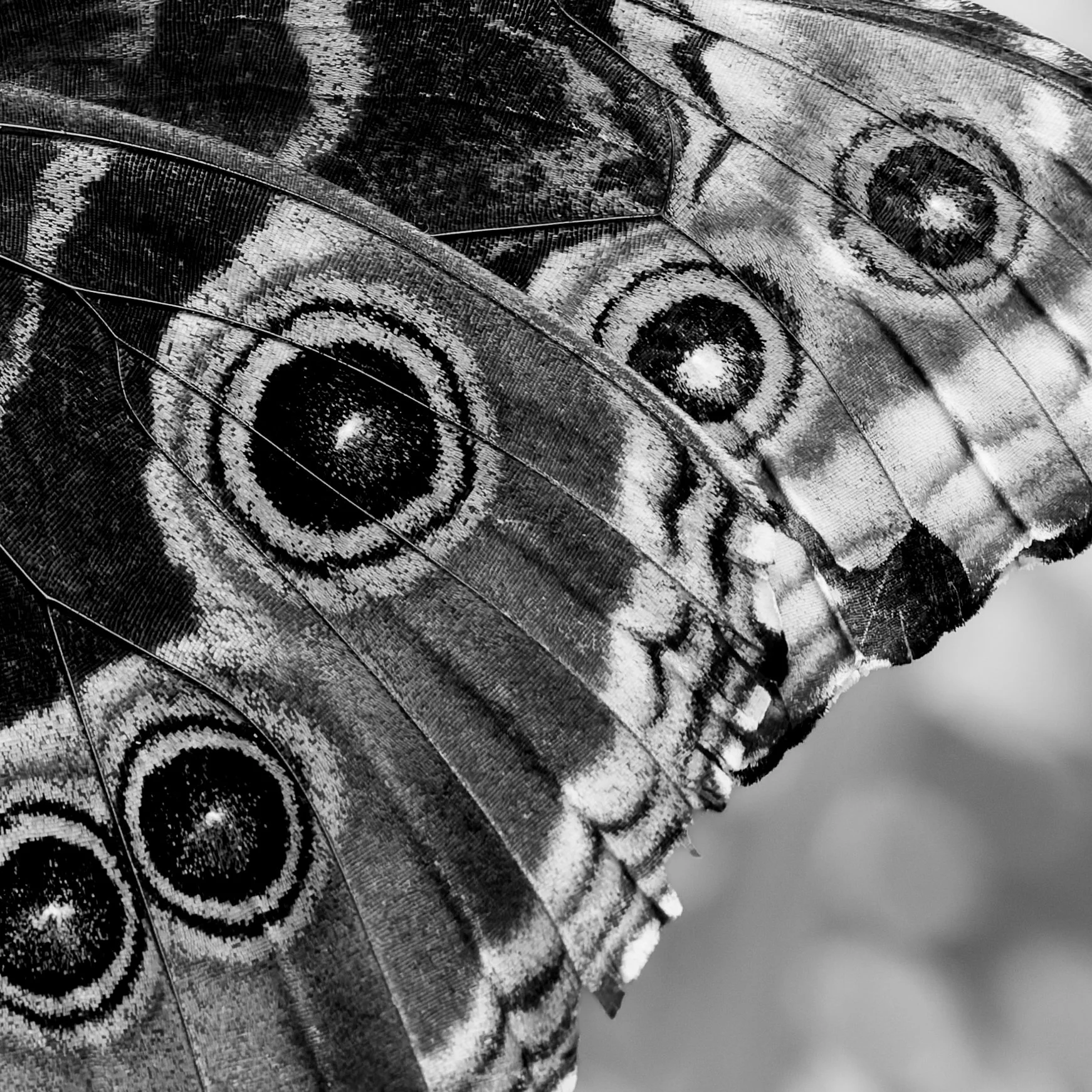 _P5A8255-DxO_DeepPRIME 3-2-2.jpg