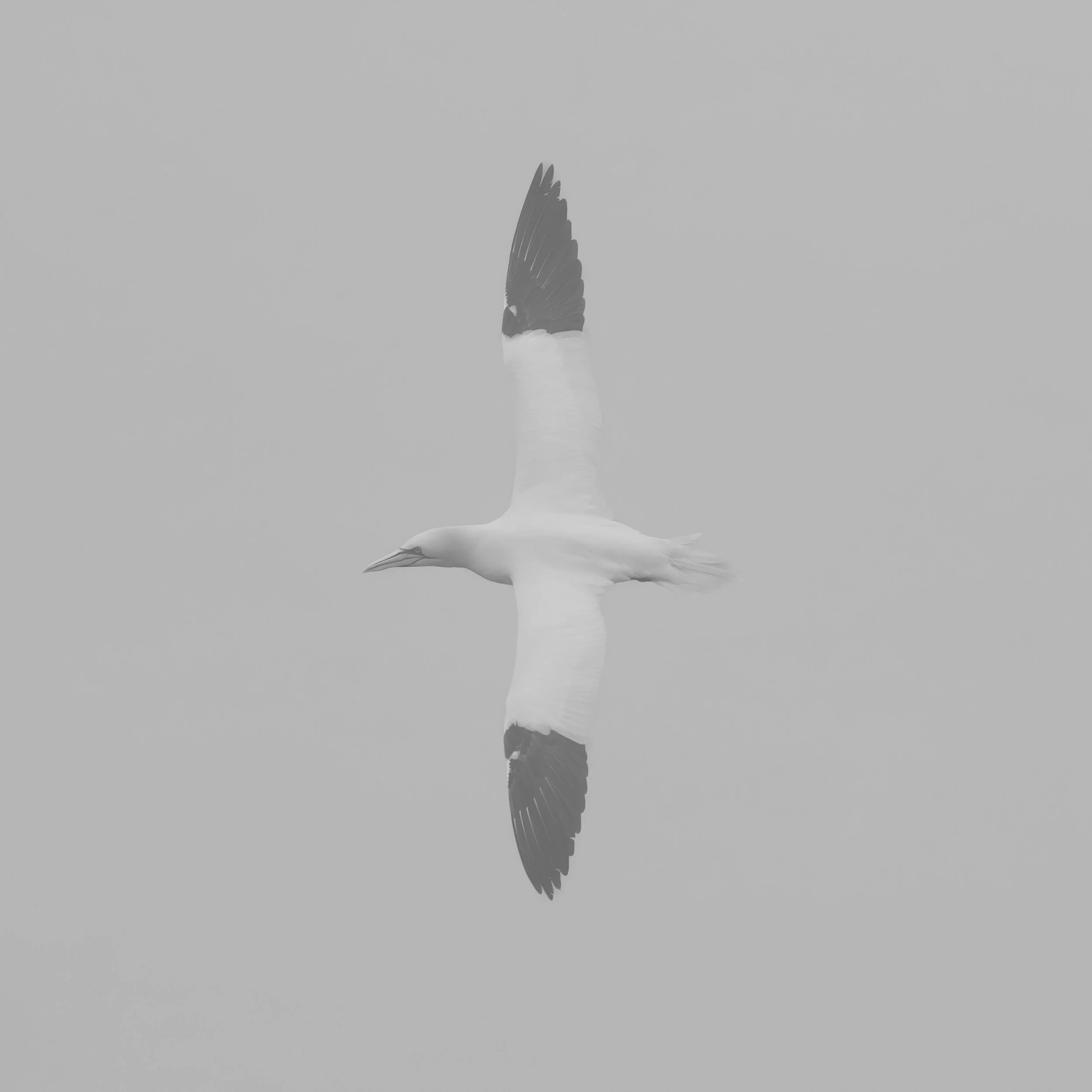 _P5A1734.jpg