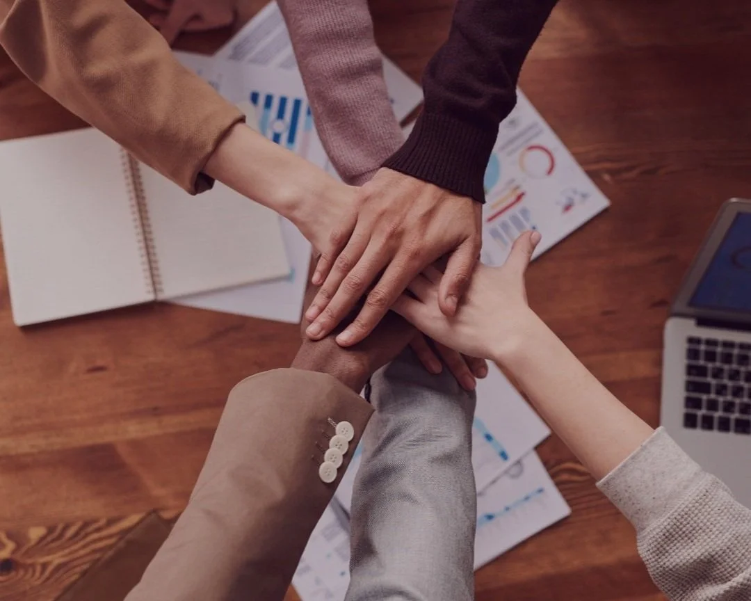 Our Collaborative — At The Root