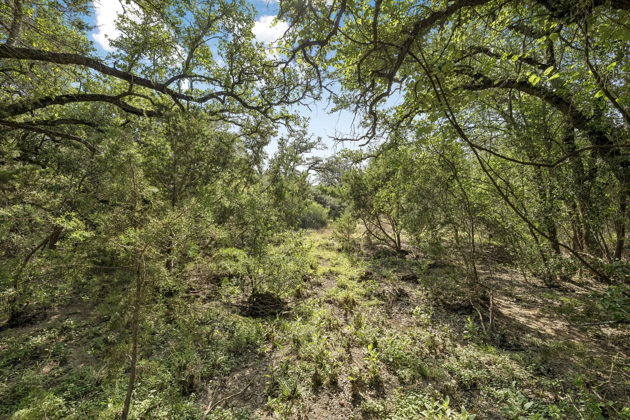 4-26 Seewald Rd Lot 18 - 004.jpg
