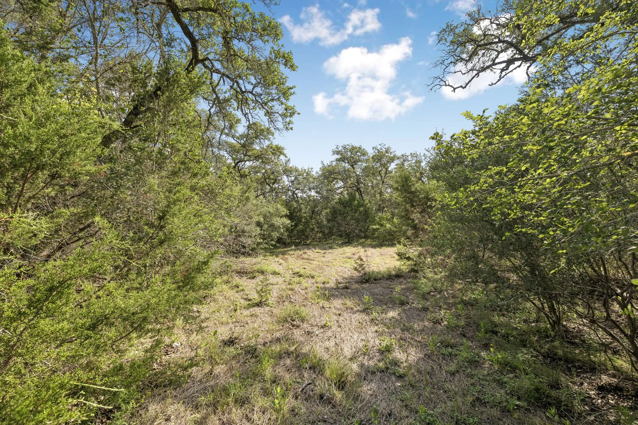6-26 Seewald Rd Lot 18 - 006.jpg