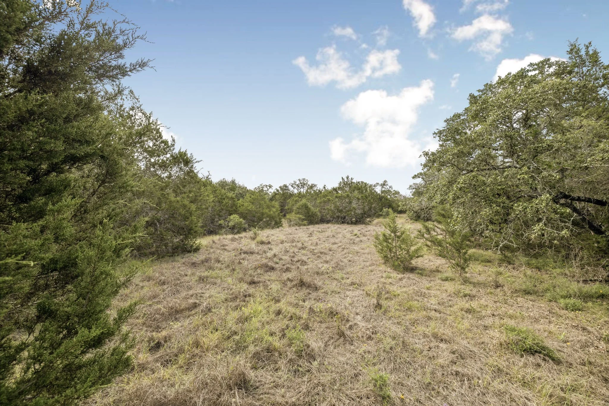 12-26 Seewald Rd Lot 18 - 012.jpg