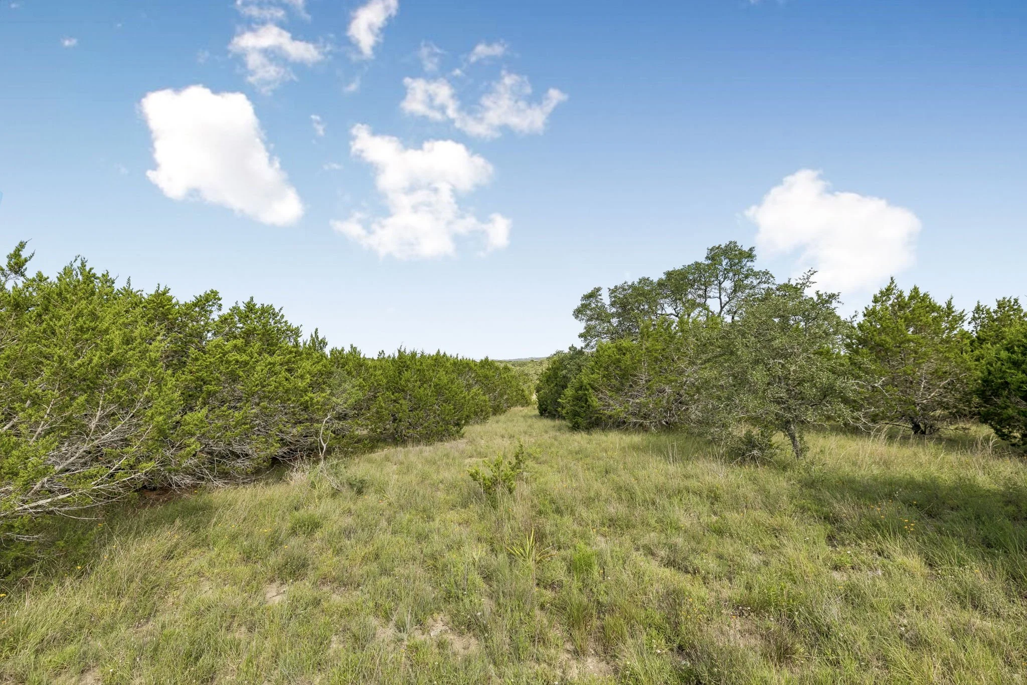 17-26 Seewald Rd Lot 18 - 017.jpg