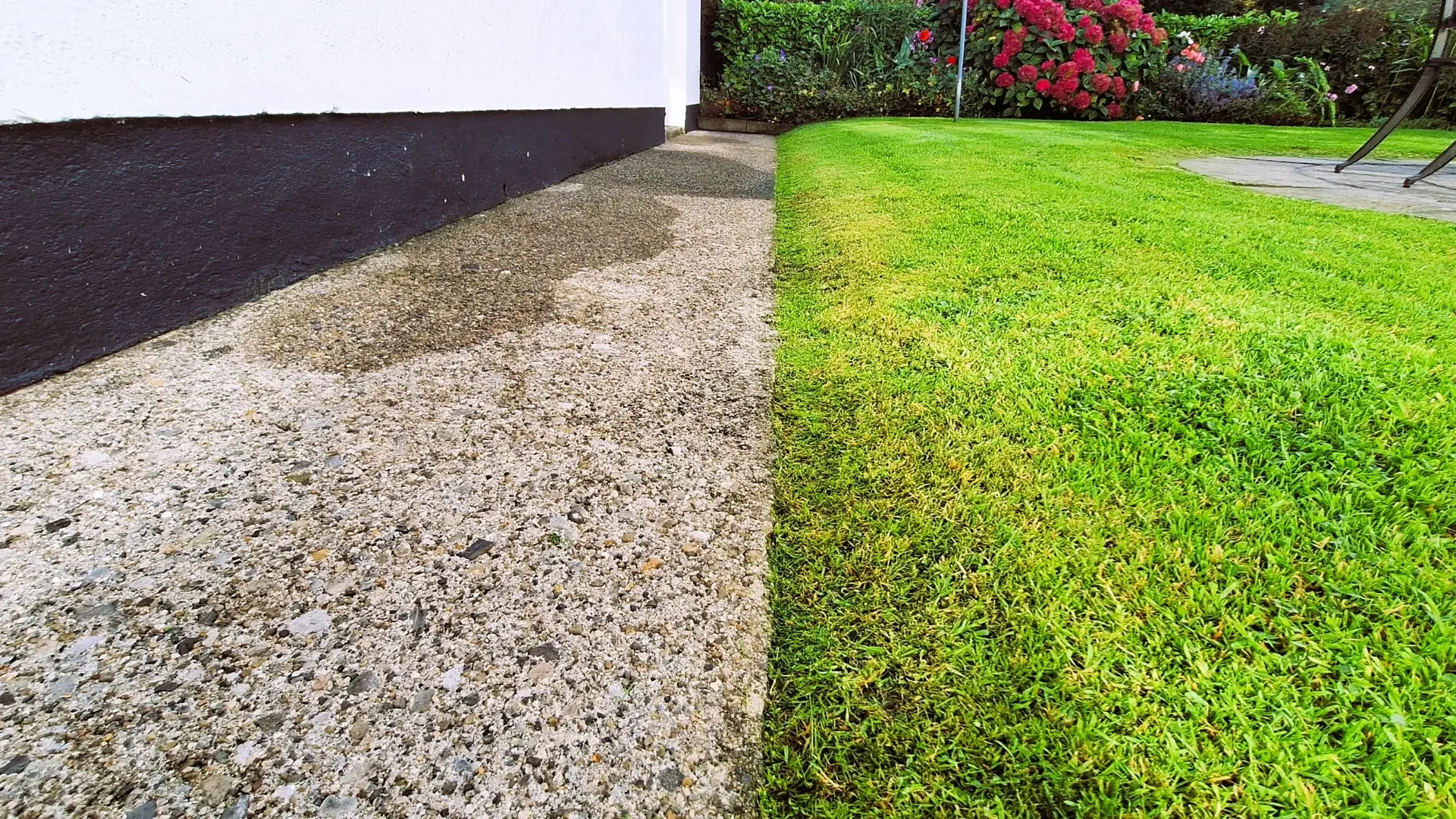 Tvarkingai nupjautas vejos kraštas su žydinčiu gėlynu fone.