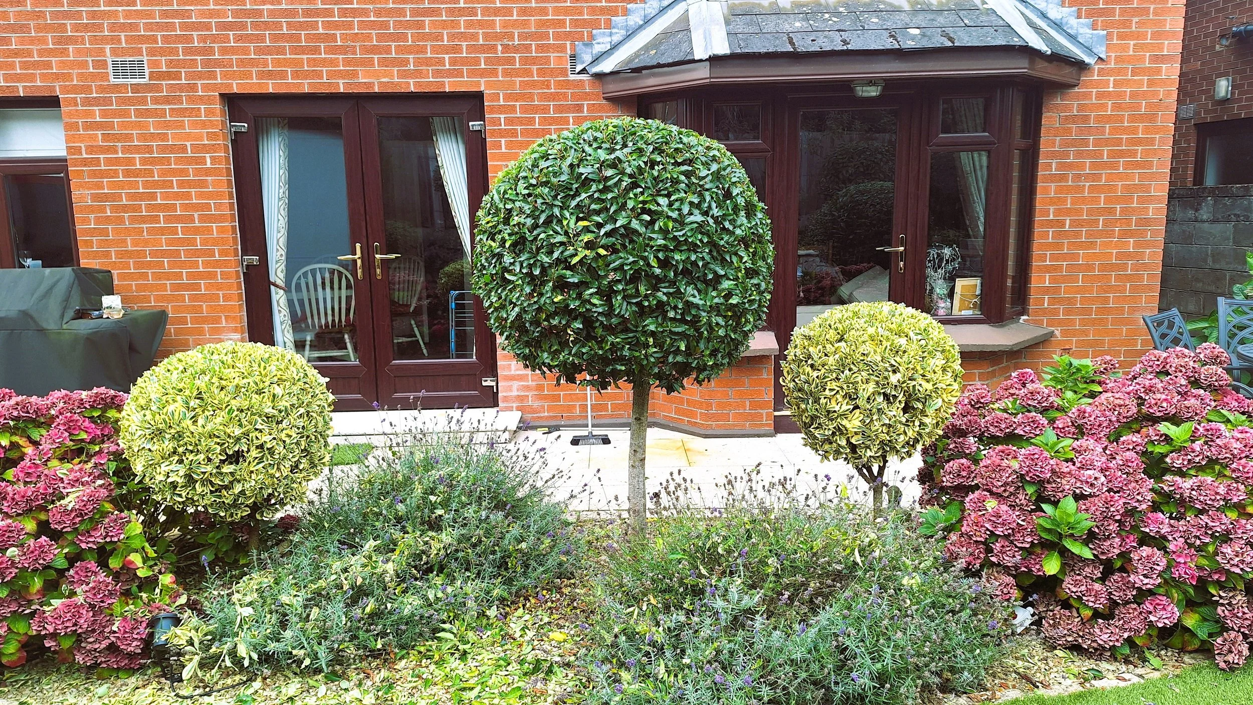 A landscaped backyard garden with three rounded bushes, flowers, and a brick house with glass double doors and a bay window.