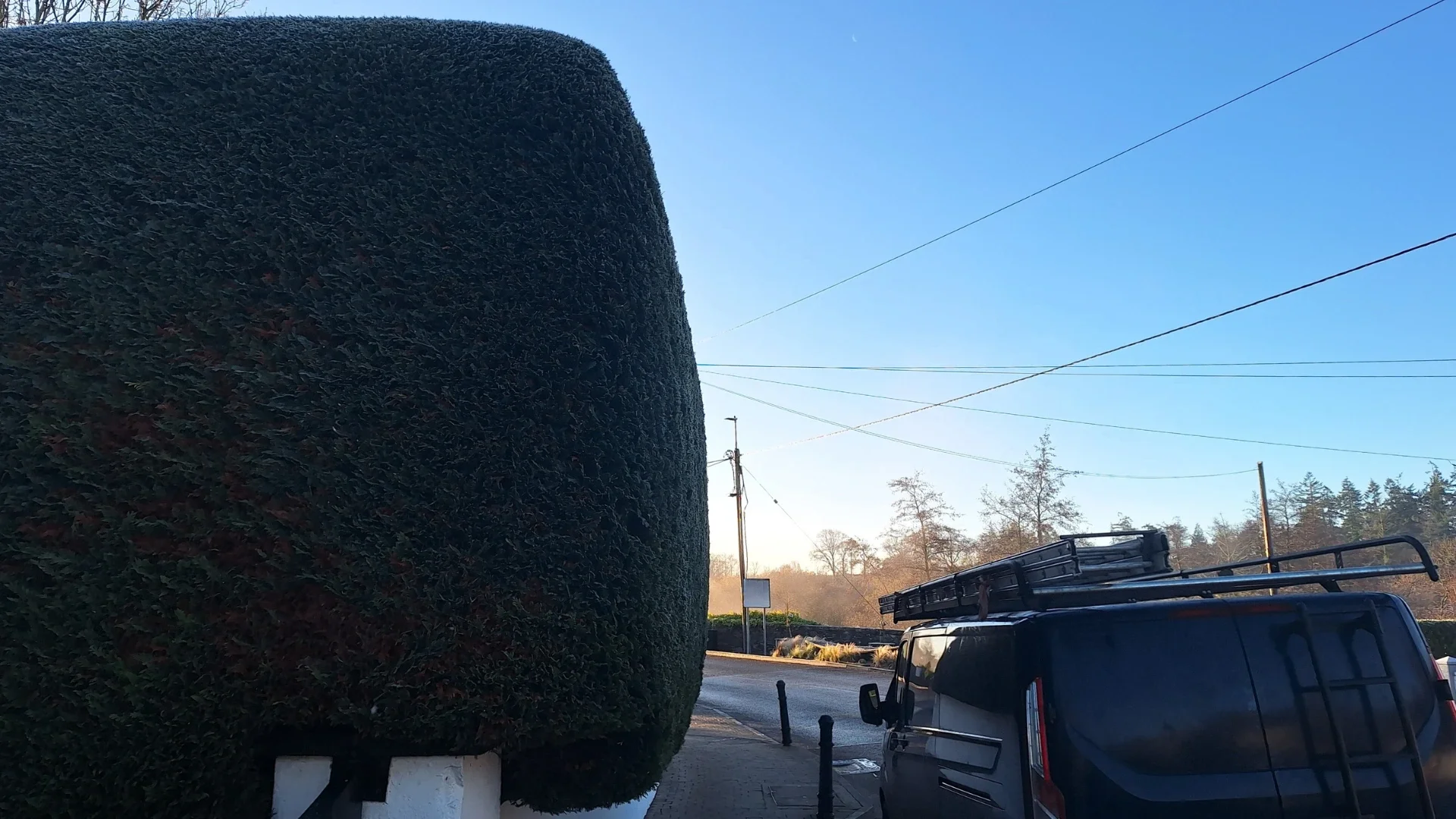 Darbinis furgonas ir tvarkingai apkirpta leilando kiparisų gyvatvorė žvarbų rytą.