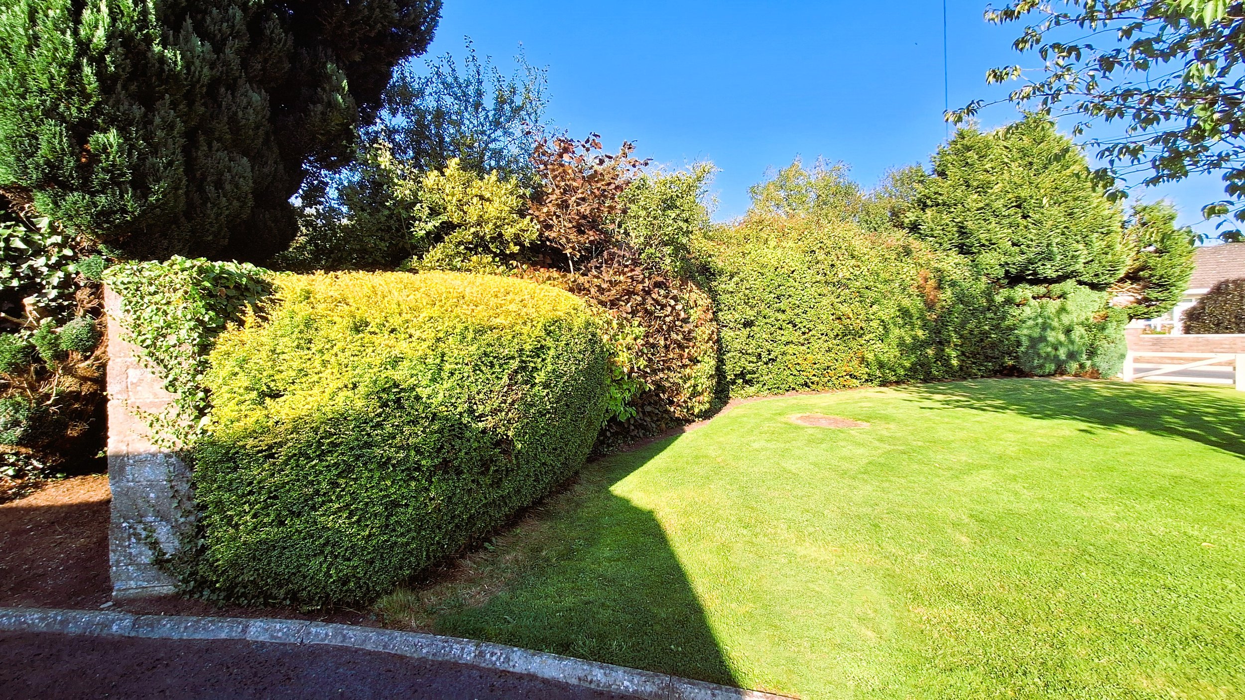 A manicured green lawn with a variety of trimmed bushes and trees under a clear blue sky.