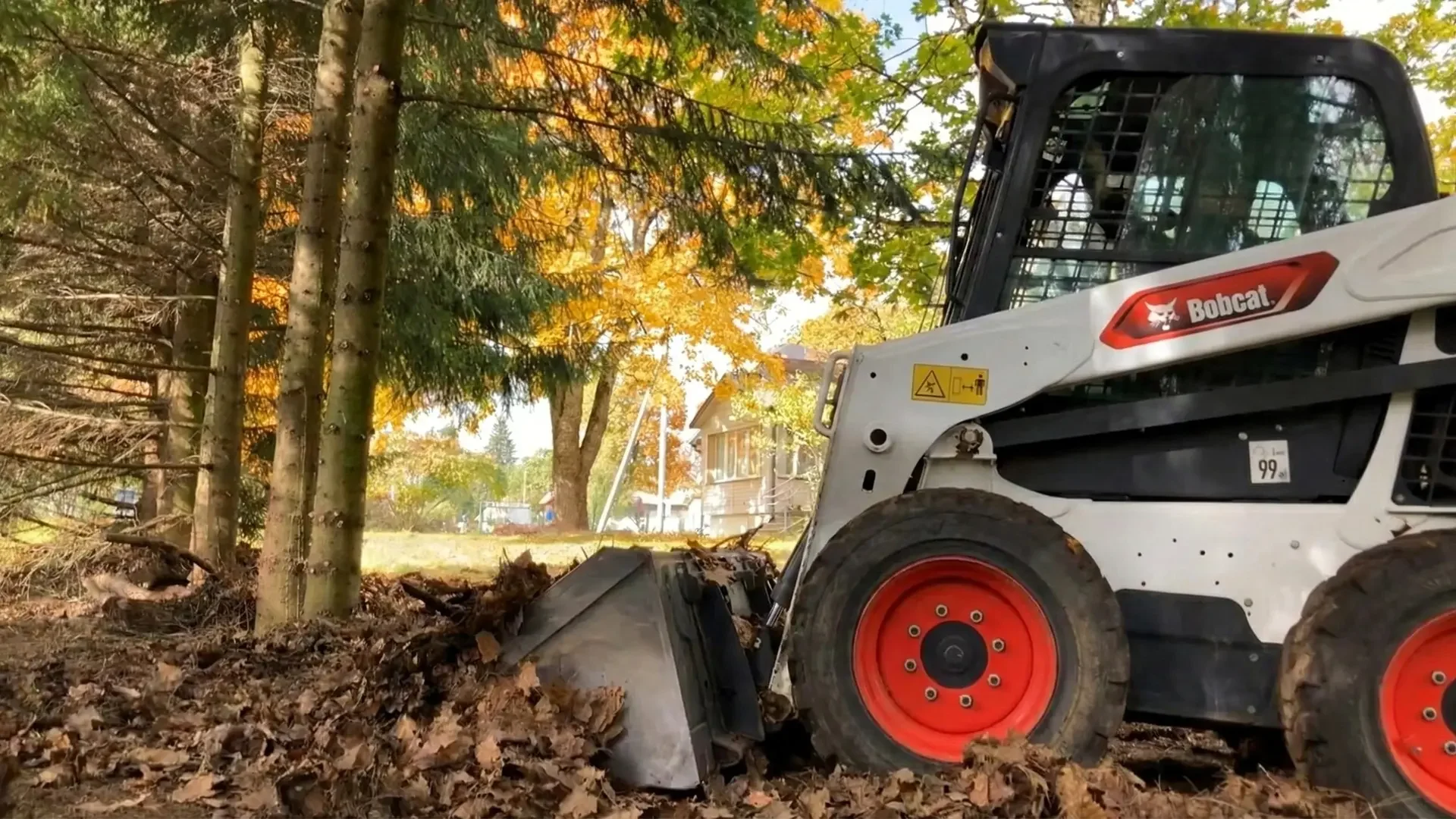 Bobcat krautuvas su kaušu prikrautu lapais.