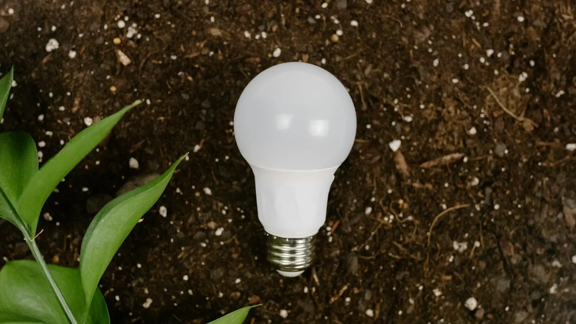 Kompostavimo vadovas: nuo atliekų iki derlingos žemės