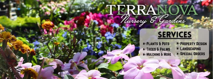 Terra Nova Nursery & Garden