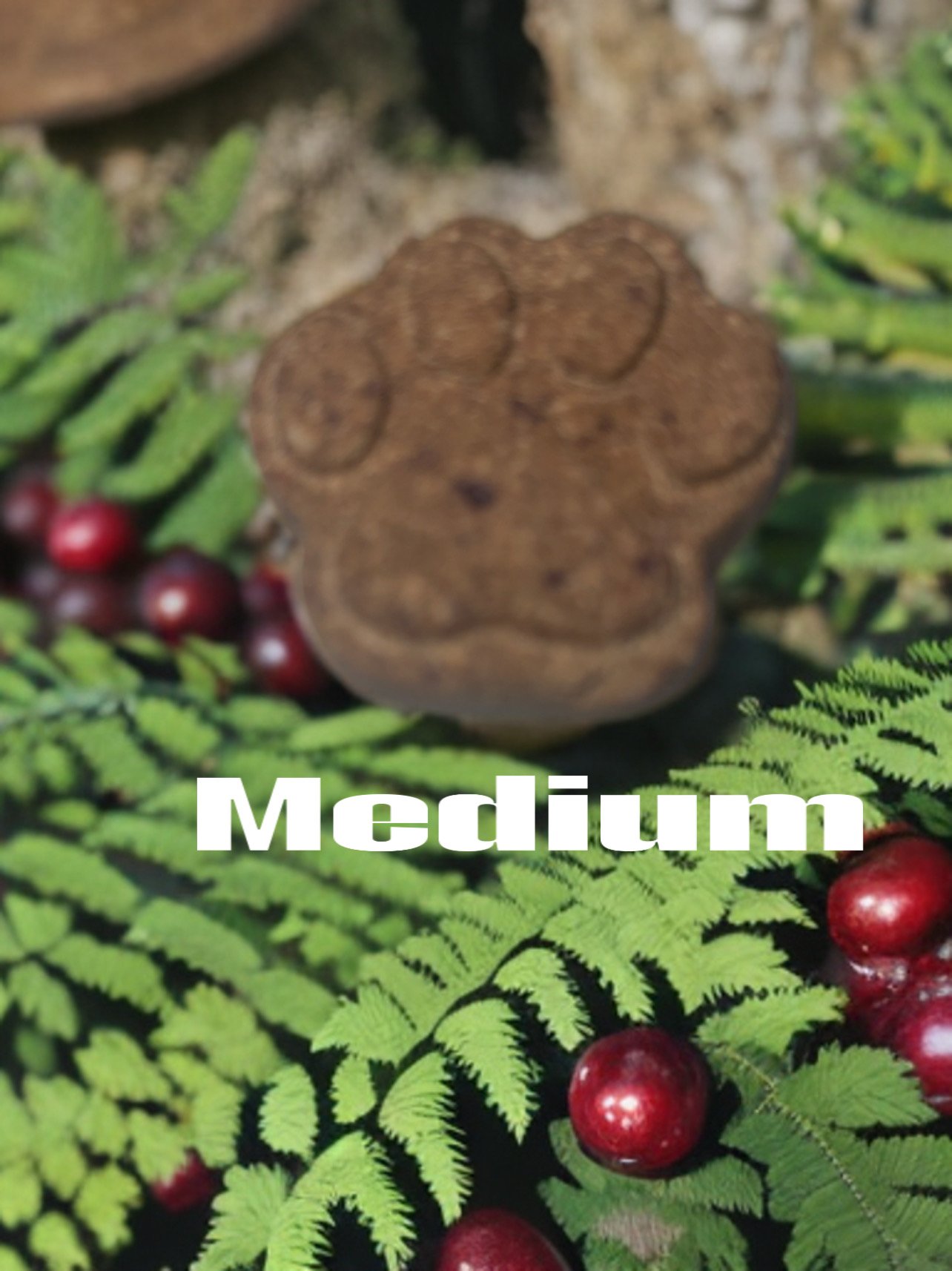 36456E7C-572C-4CF9-AE4E-85616F4EBDFD.jpeg