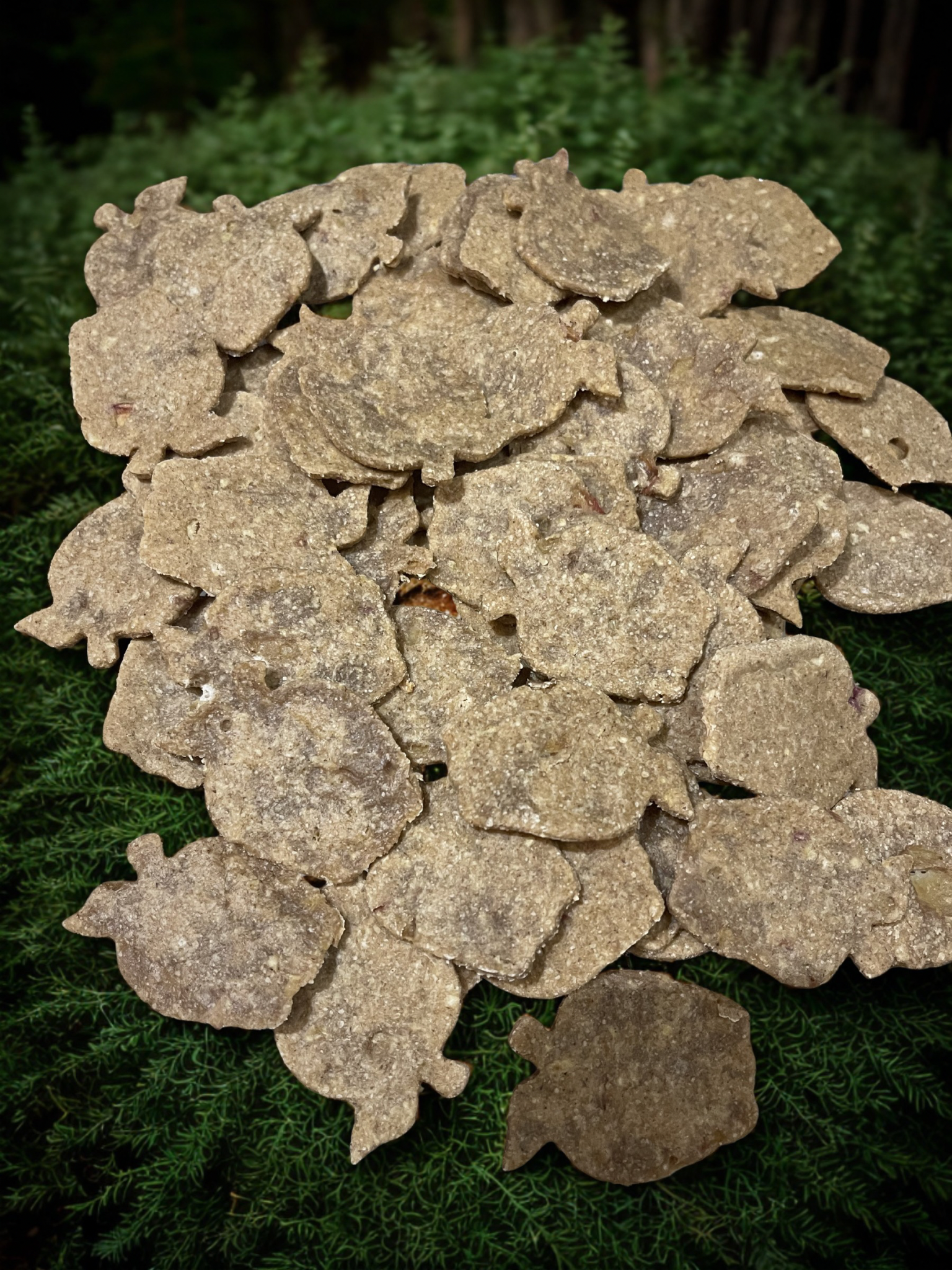 Apples & Cinnamon Dog Treat 4oz